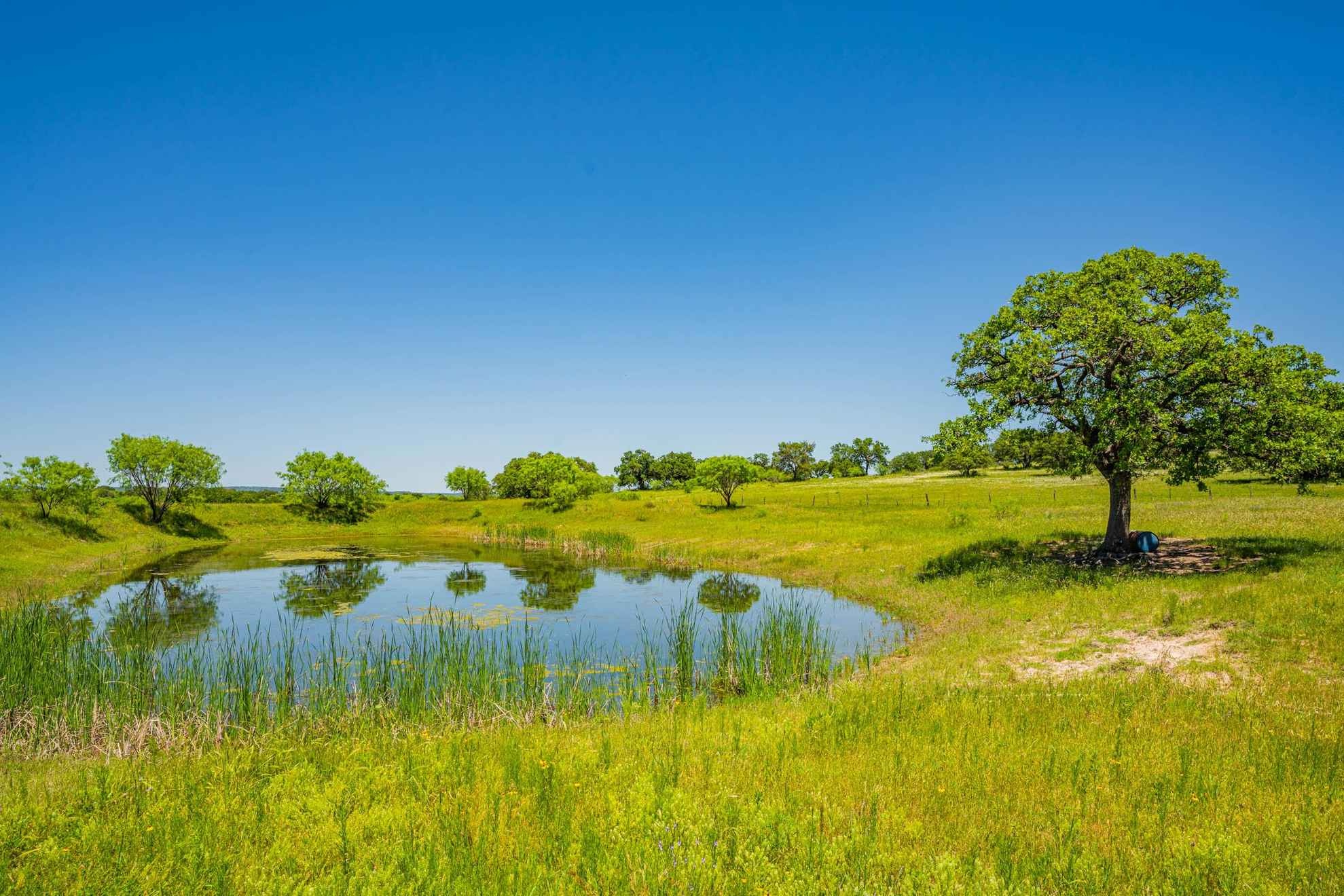 San Fernando National Reserve, Clayton Leverett, Stillwaters land, 1980x1320 HD Desktop