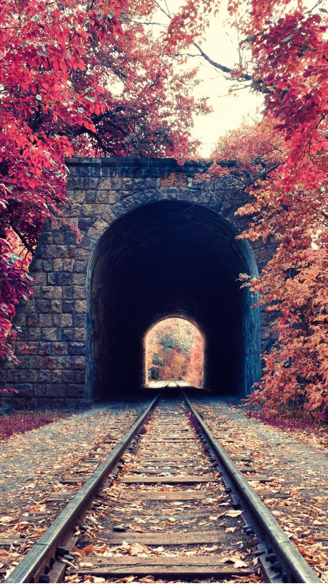 1956 stone tunnel arch, railway tracks with leaves, red autumn foliage, HD Phone wallpaper