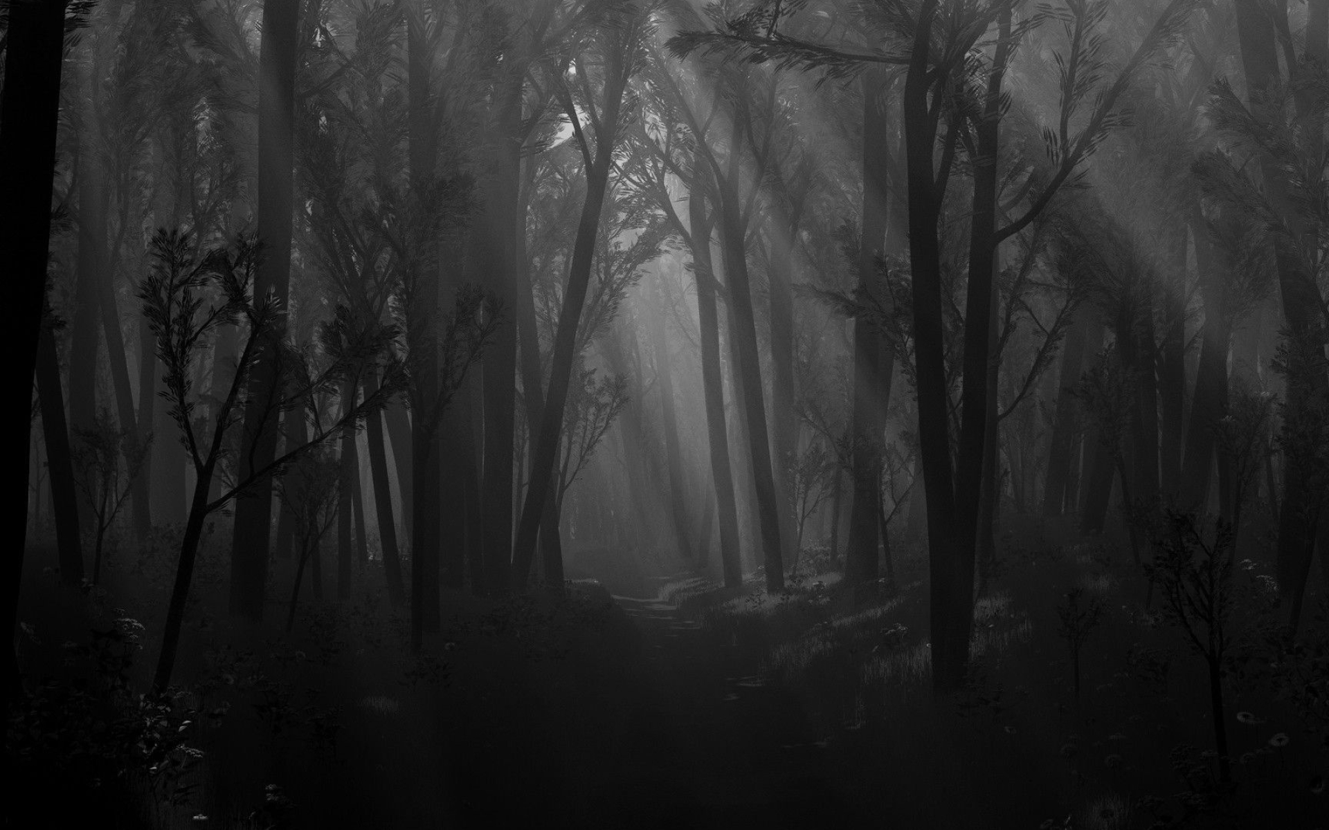 dark misty dense forest, crepuscular rays through canopy, narrow dark forest trail, HD Desktop wallpaper