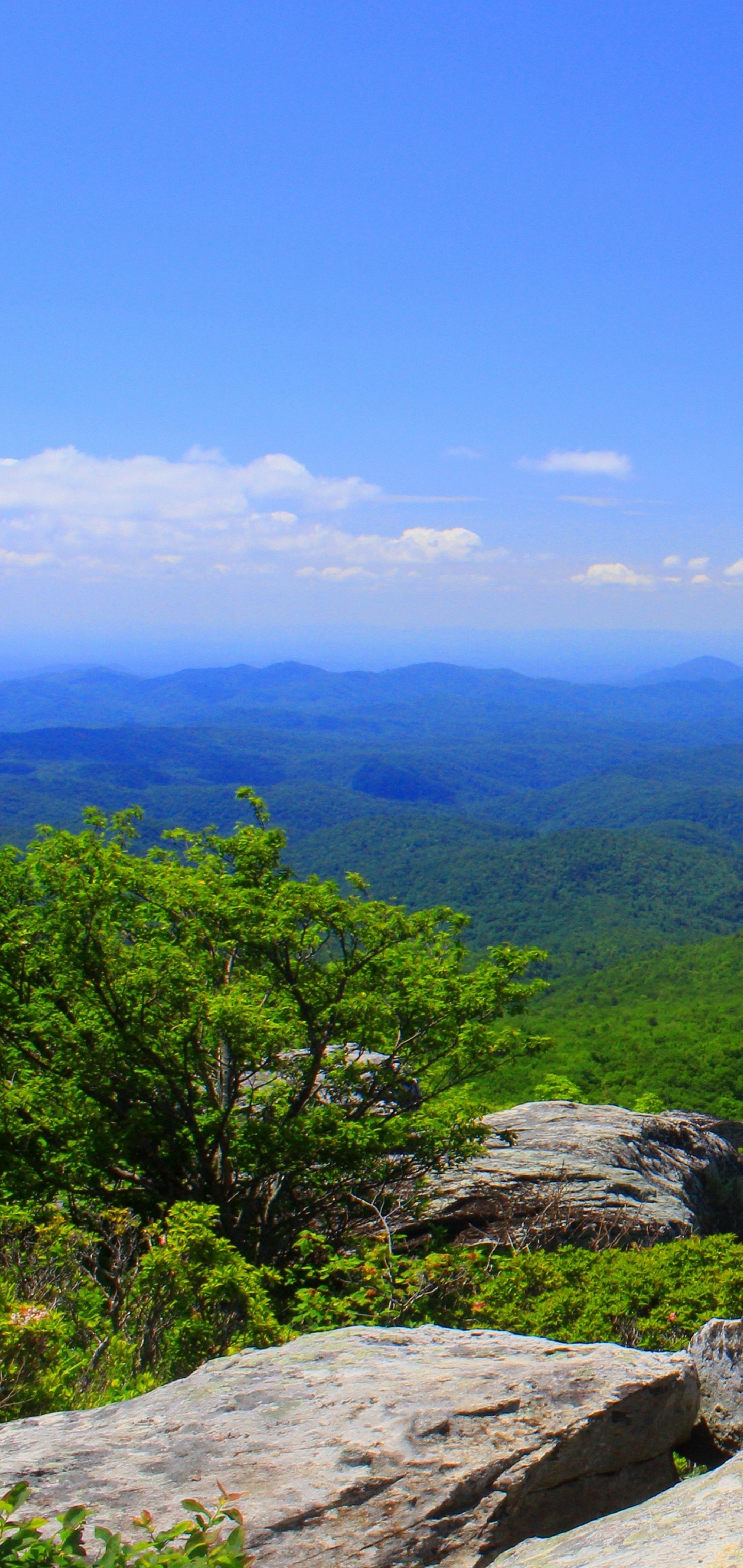 North Carolina, Mountains, Grass, Landscape, 1440x3040 HD Phone