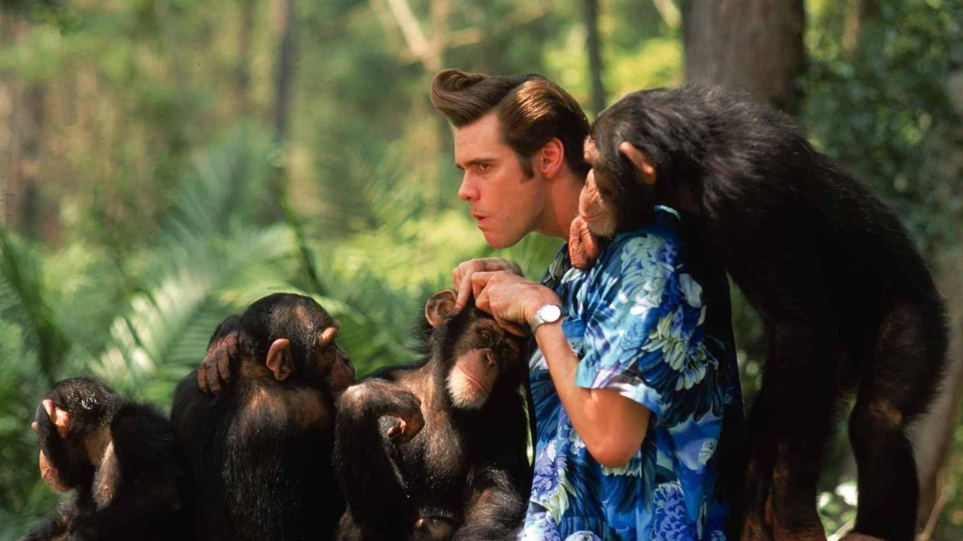 Jim Carrey, Ace Ventura, Nature calls, Cinematic masterpiece, 1920x1080 Full HD Desktop