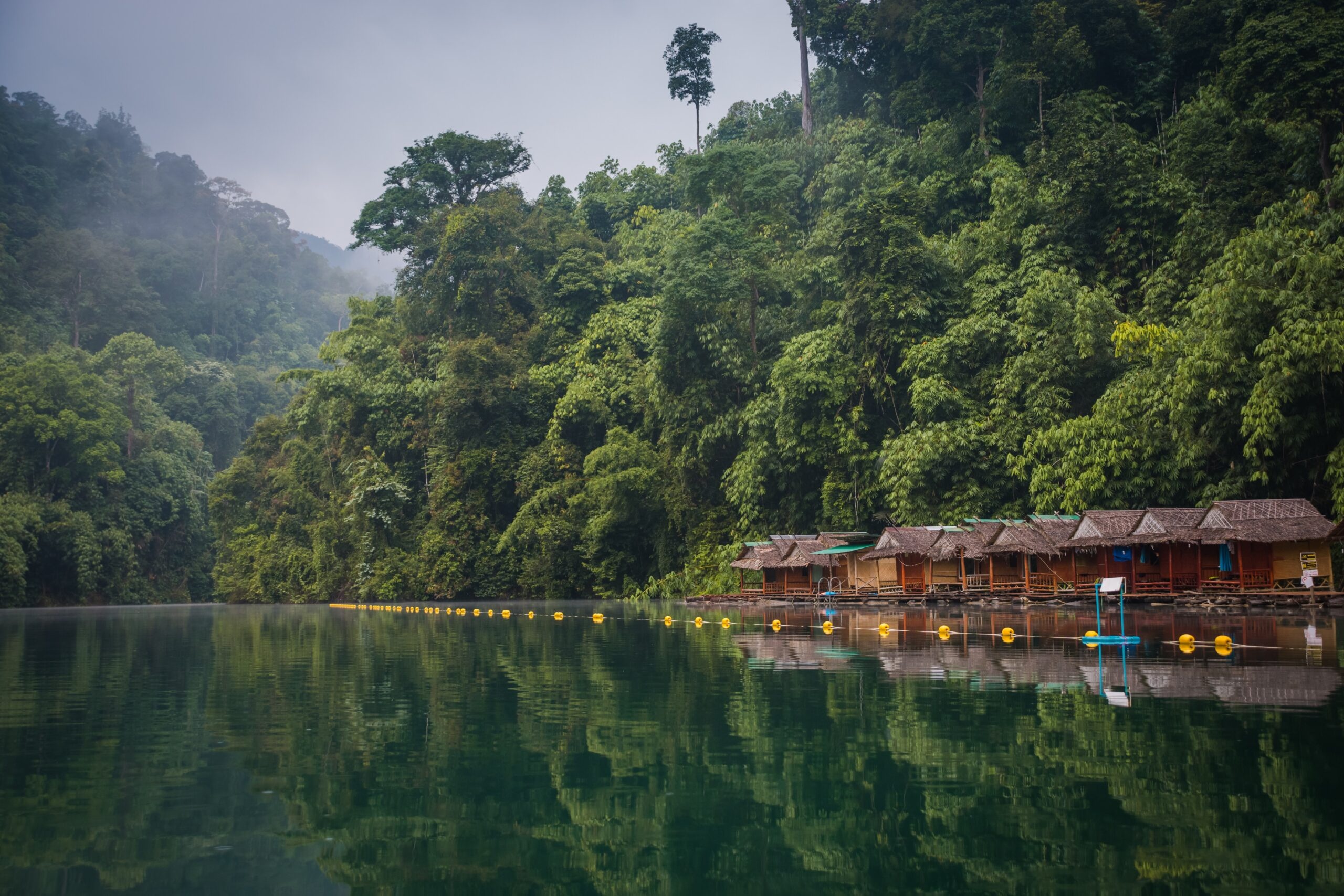 Khao Sok National Park, Forest Restoration, Community, Science, 2560x1710 HD Desktop