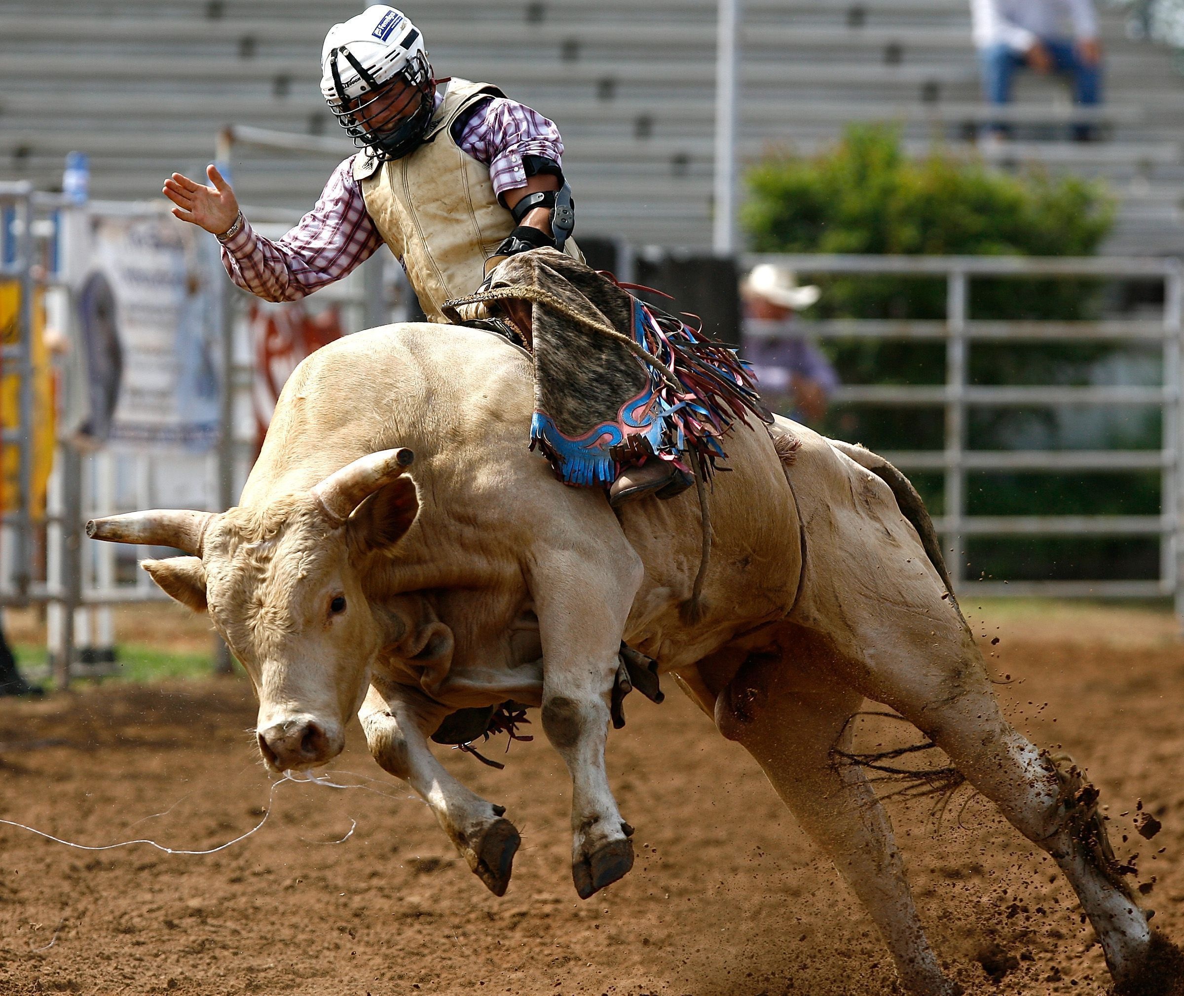 International Youth Finals Rodeo 2010, Bullriding Wallpaper, 2400x2020 HD Desktop