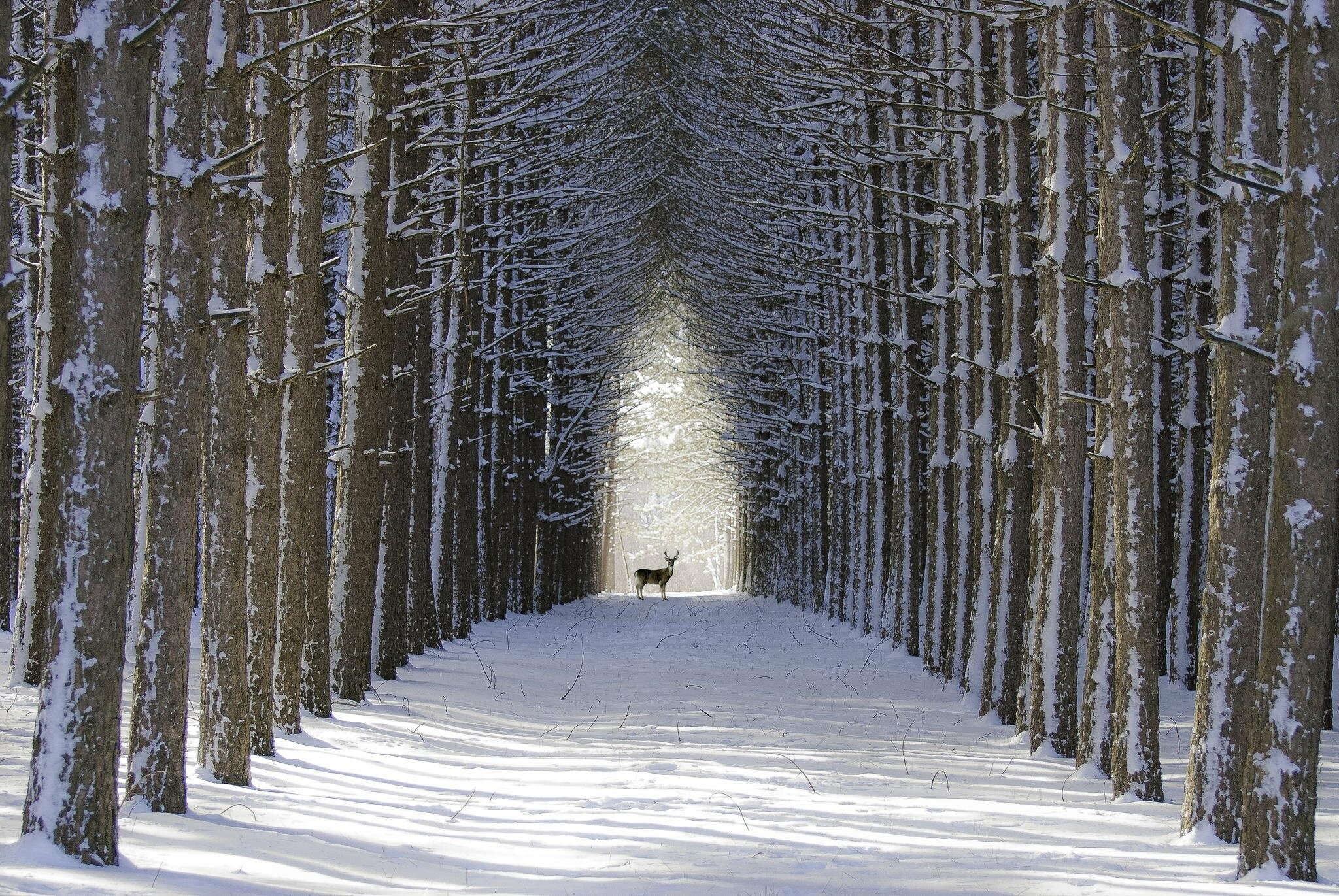 Alley, Winter Wallpaper, 2050x1380 HD Desktop