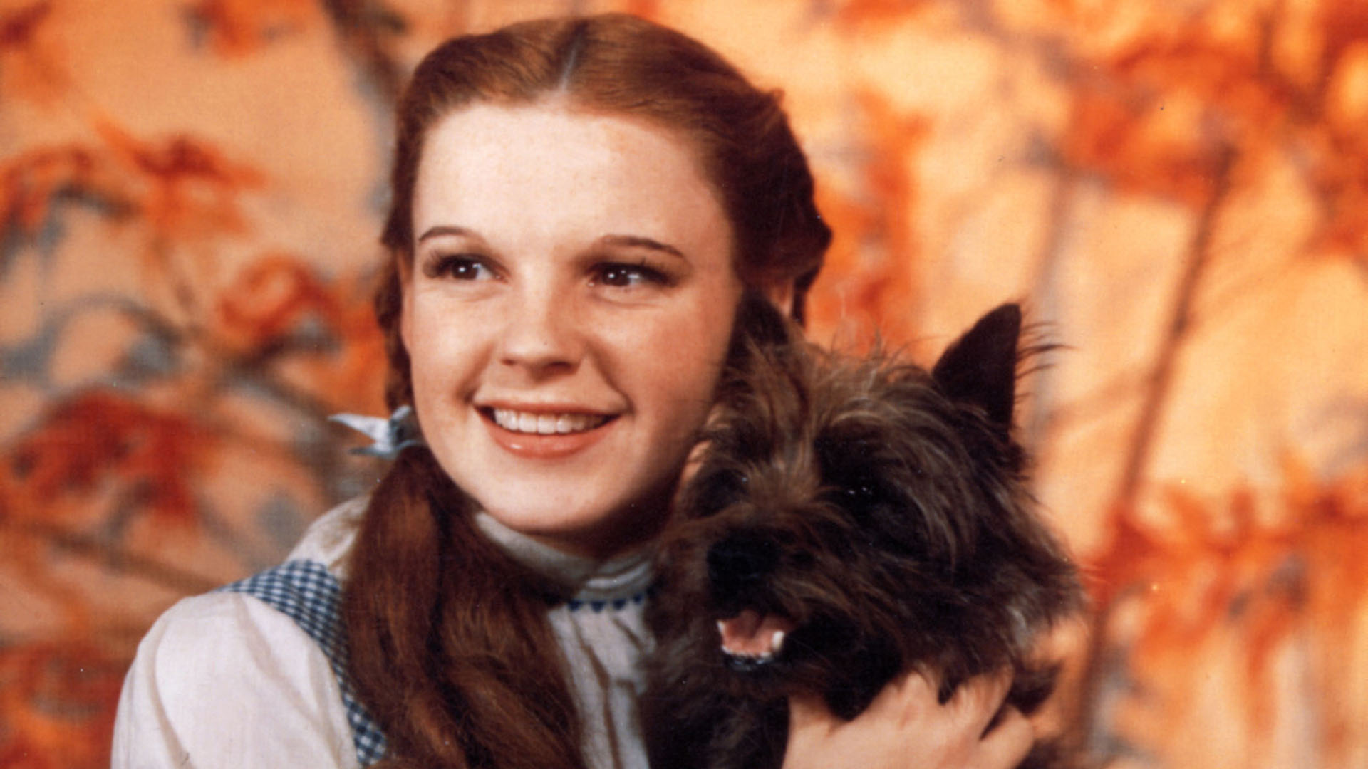 Dorothy Gale, Judy Garland Wallpaper, 1920x1080 Full HD Desktop