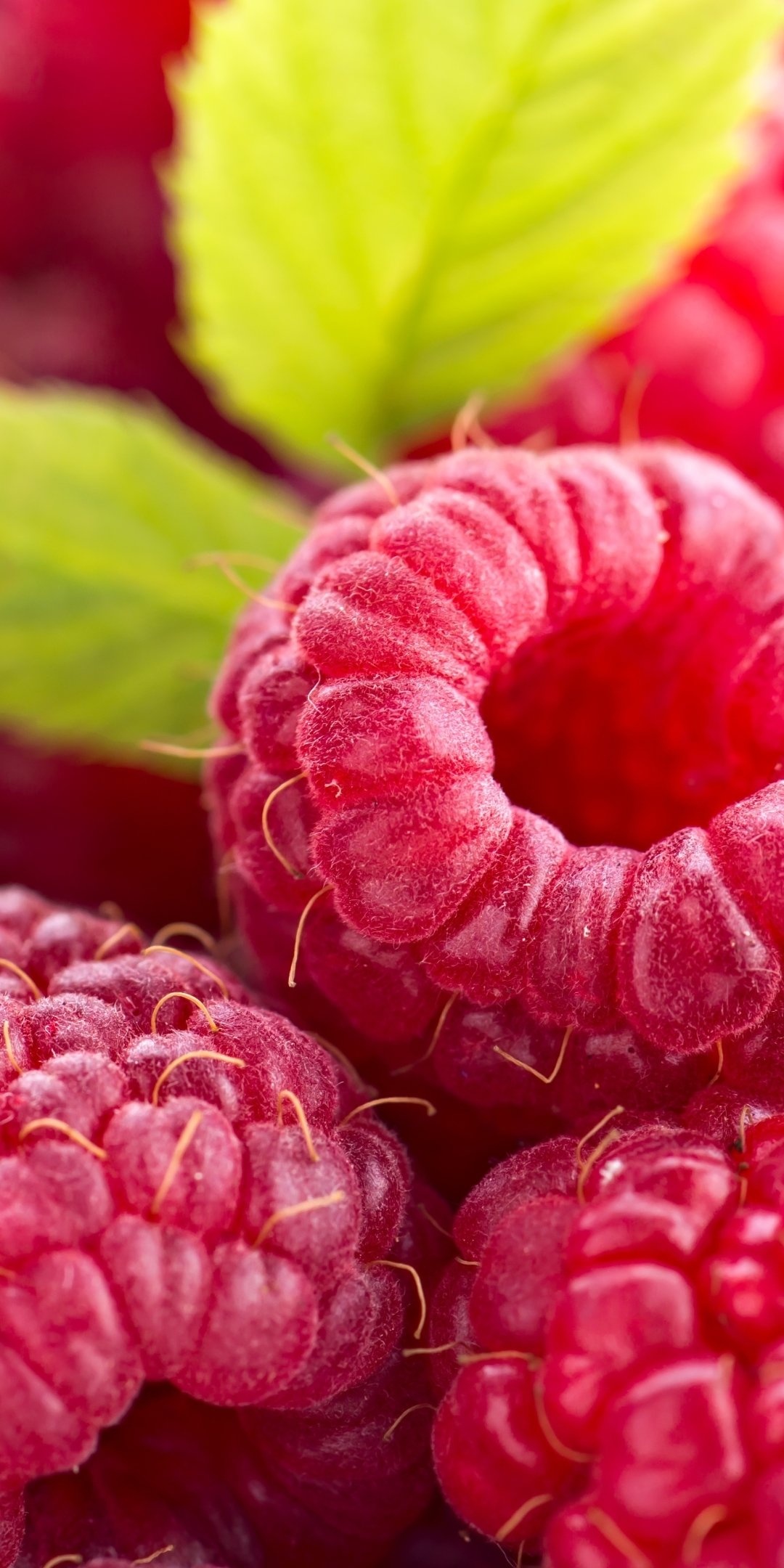 Food, Raspberry, Background images, 1080x2160 HD Phone