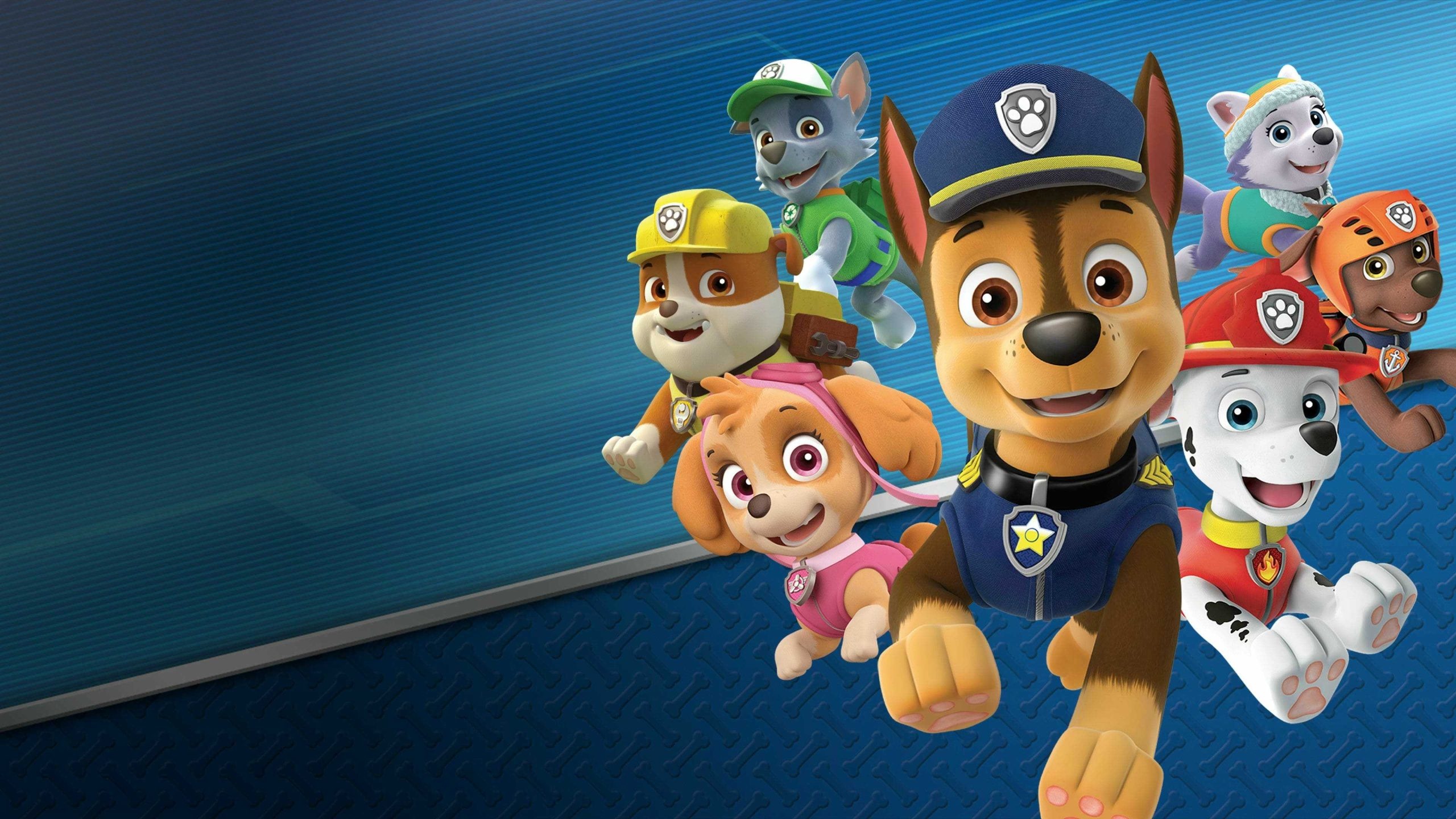 Paw Patrol, Wallpaper, 2560x1440 HD Desktop