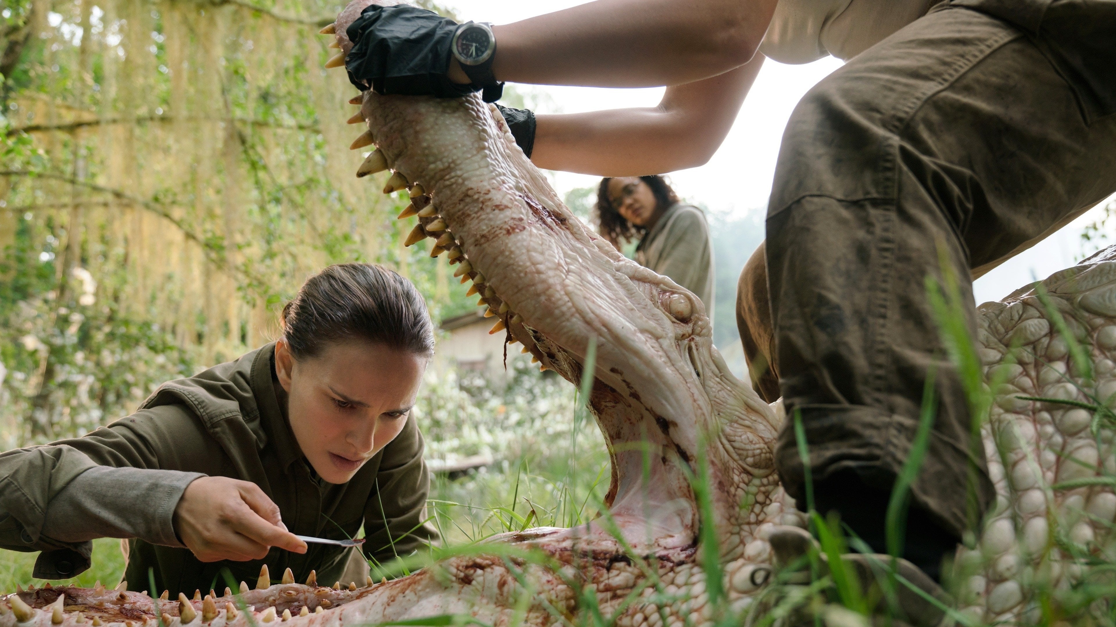 Annihilation, Psychological thriller, Surreal narrative, 3840x2160 4K Desktop