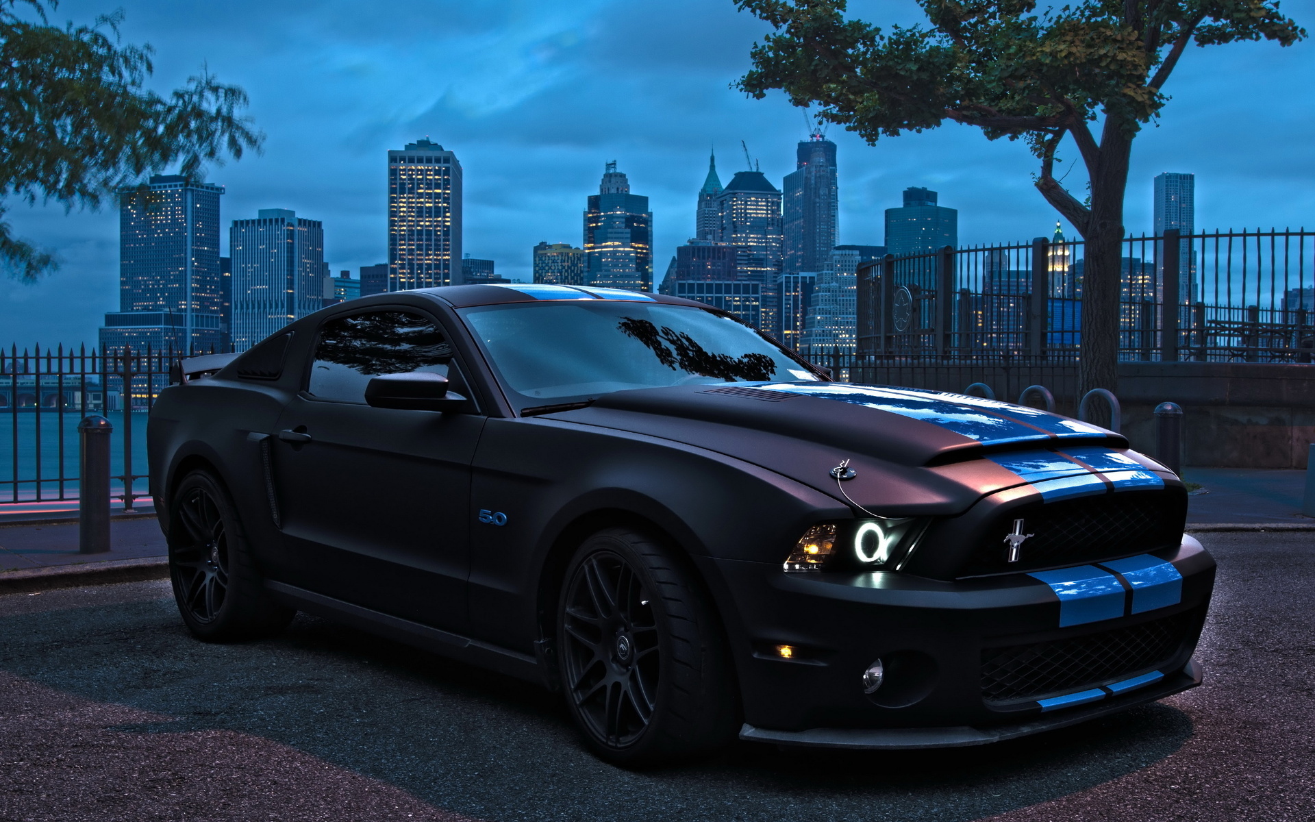 Shelby Mustang, Cool Cars Wallpaper, 1920x1200 HD Desktop