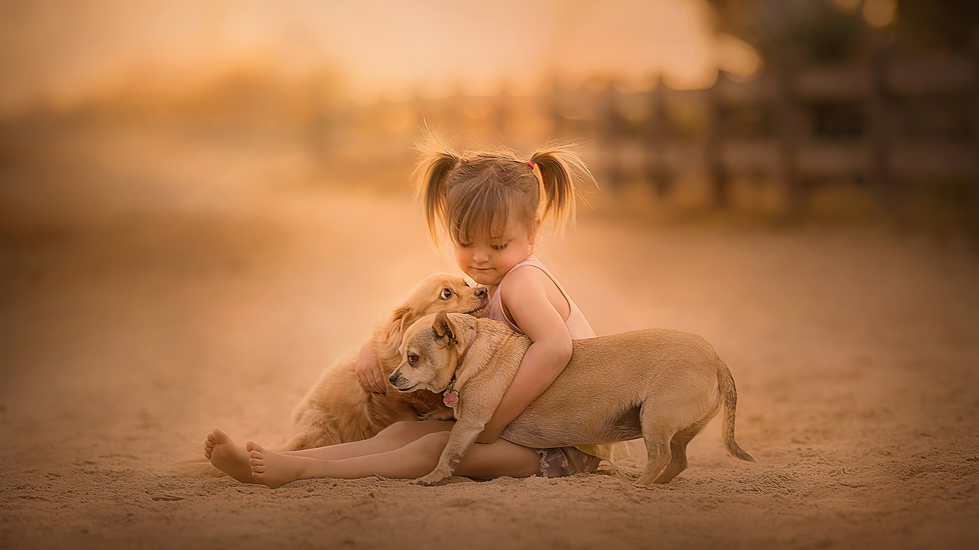 Kid and dogs, Cute Laptop Wallpaper, 1920x1080 Full HD Desktop