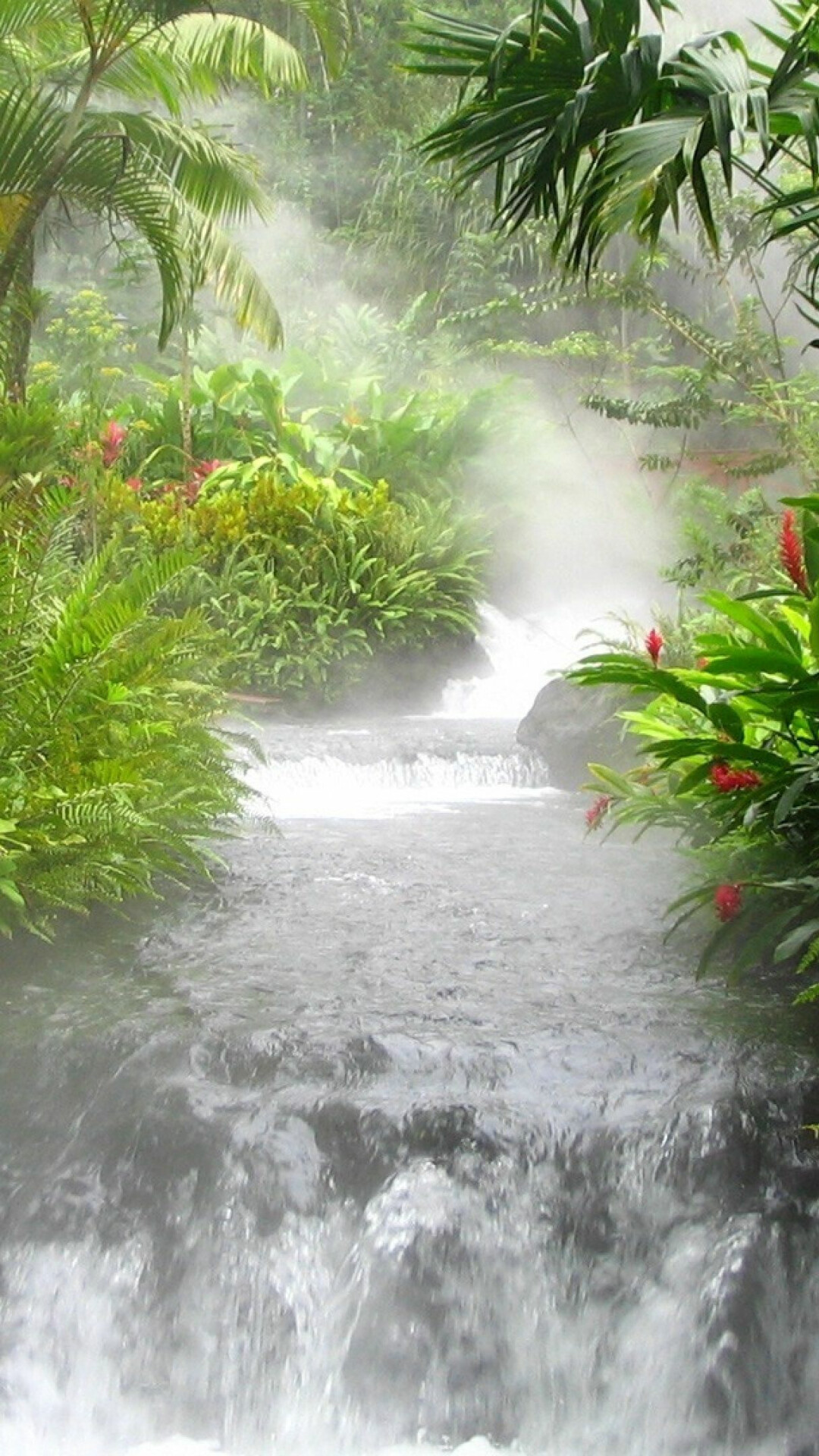Enigmatic jungle, Mystical aura, Nature's allure, Serene foliage, 1080x1920 Full HD Phone