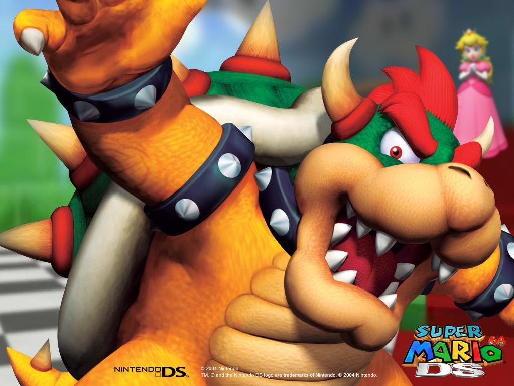 Super Mario 64 DS wallpaper 1030x770