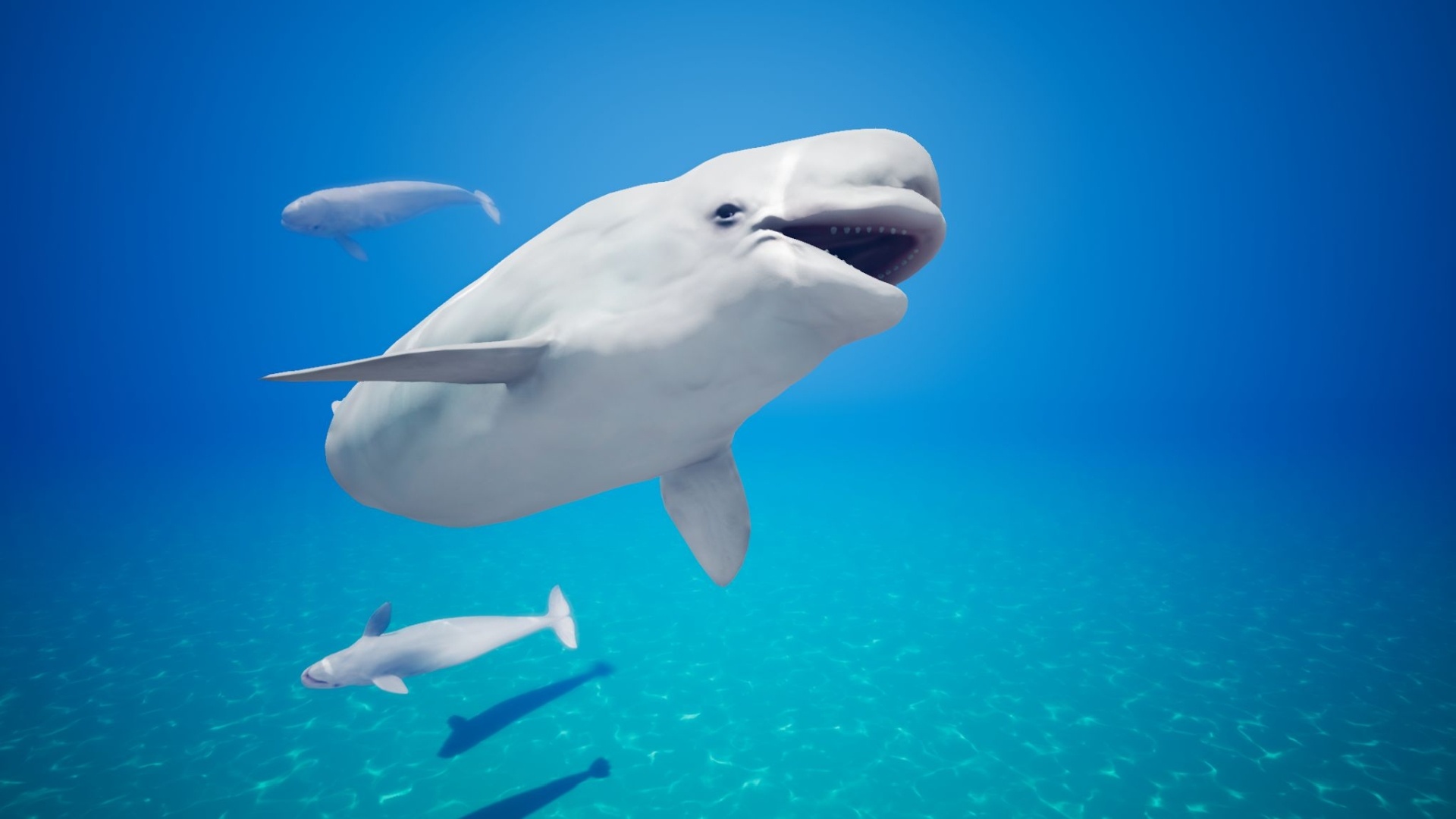 Beluga Whale, Whales as charming characters, Digital art in marine world, Underwater creature creations, 1920x1080 Full HD Desktop