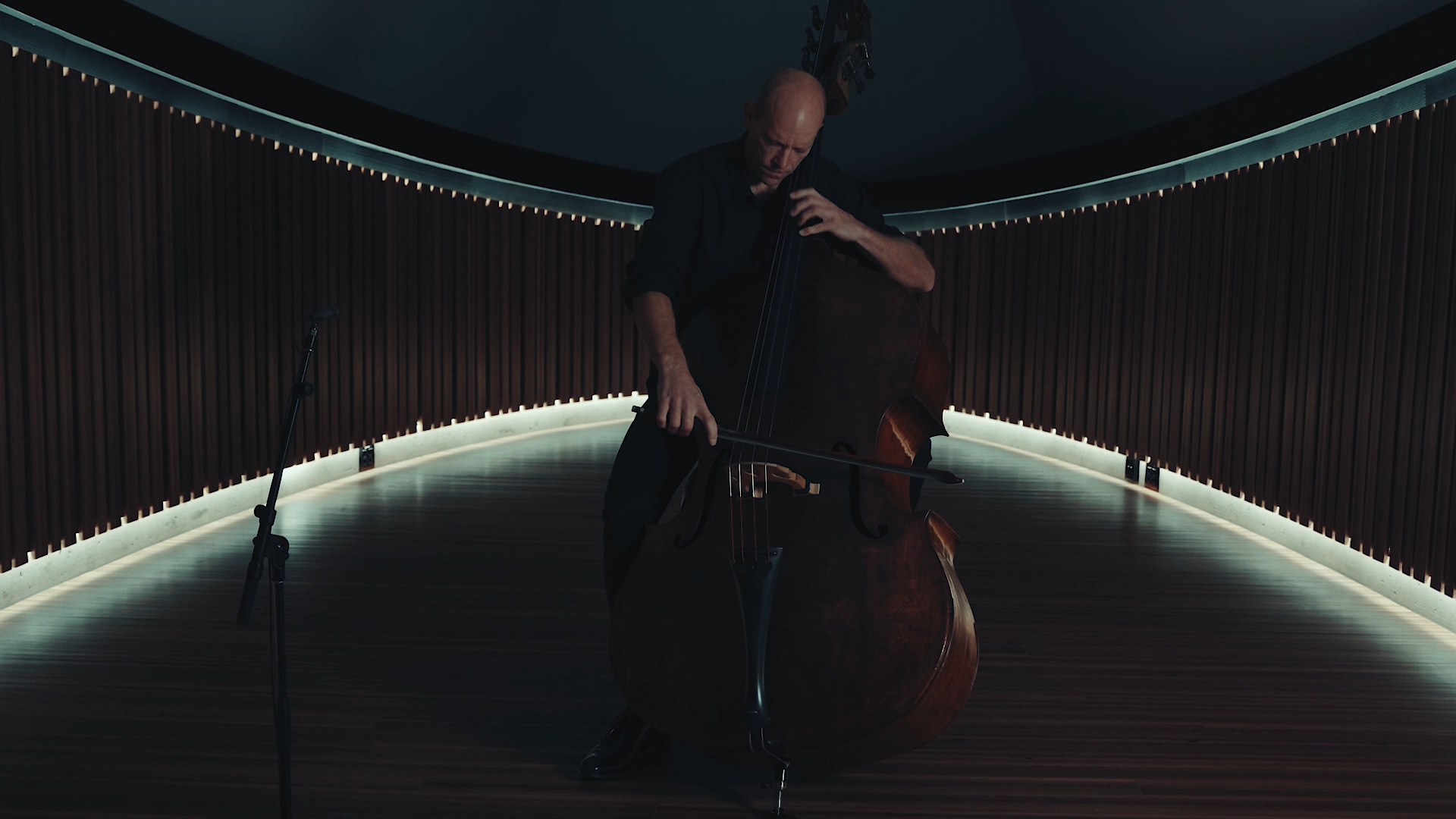 ACO double bassist, Maxime Bibeau, Interview, Behind the scenes, 1920x1080 Full HD Desktop