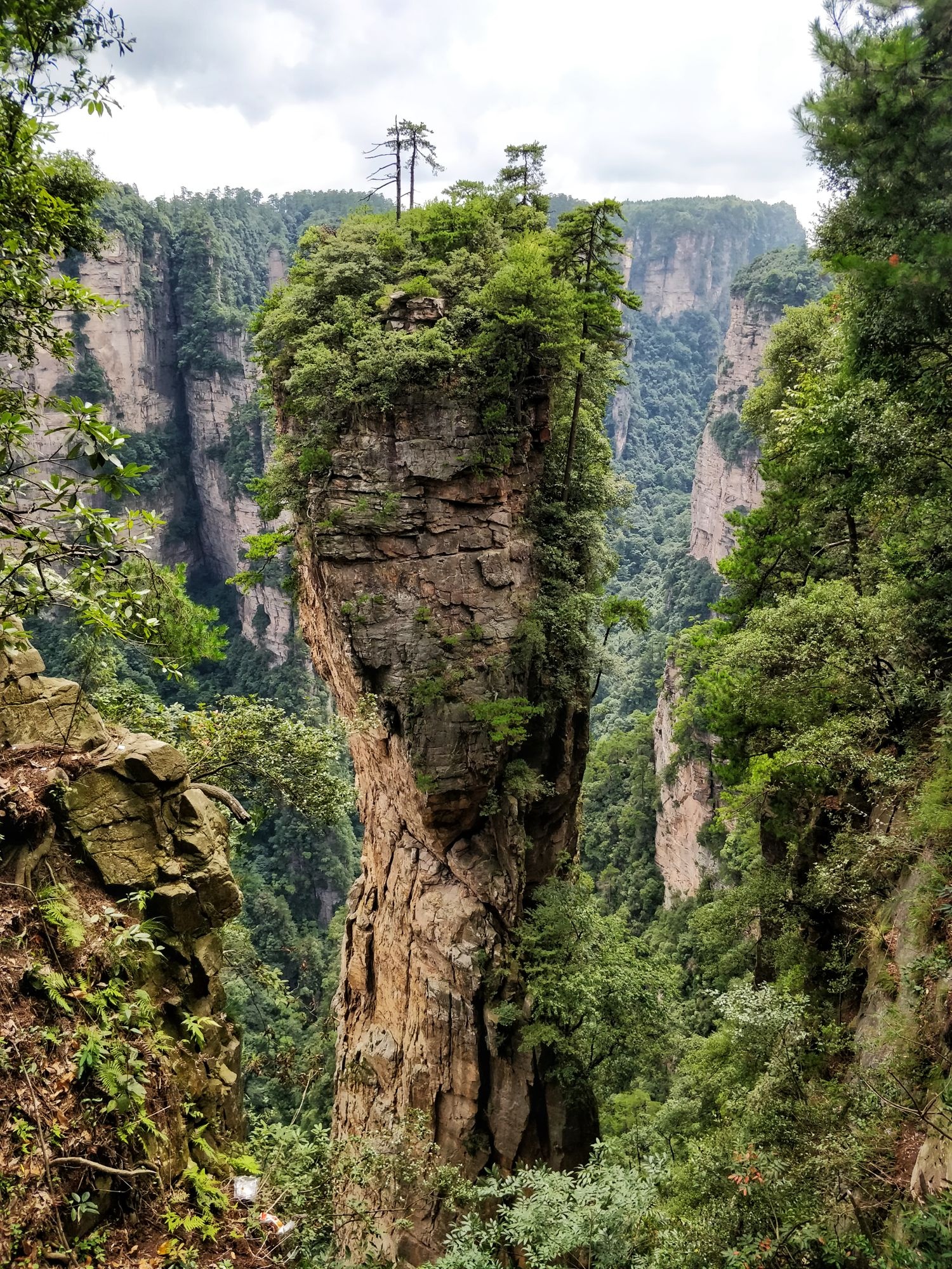 Wulingyuan National Park, Yangjiajie Village, Zhangjiajie National Park, World adventure, 1500x2000 HD Phone