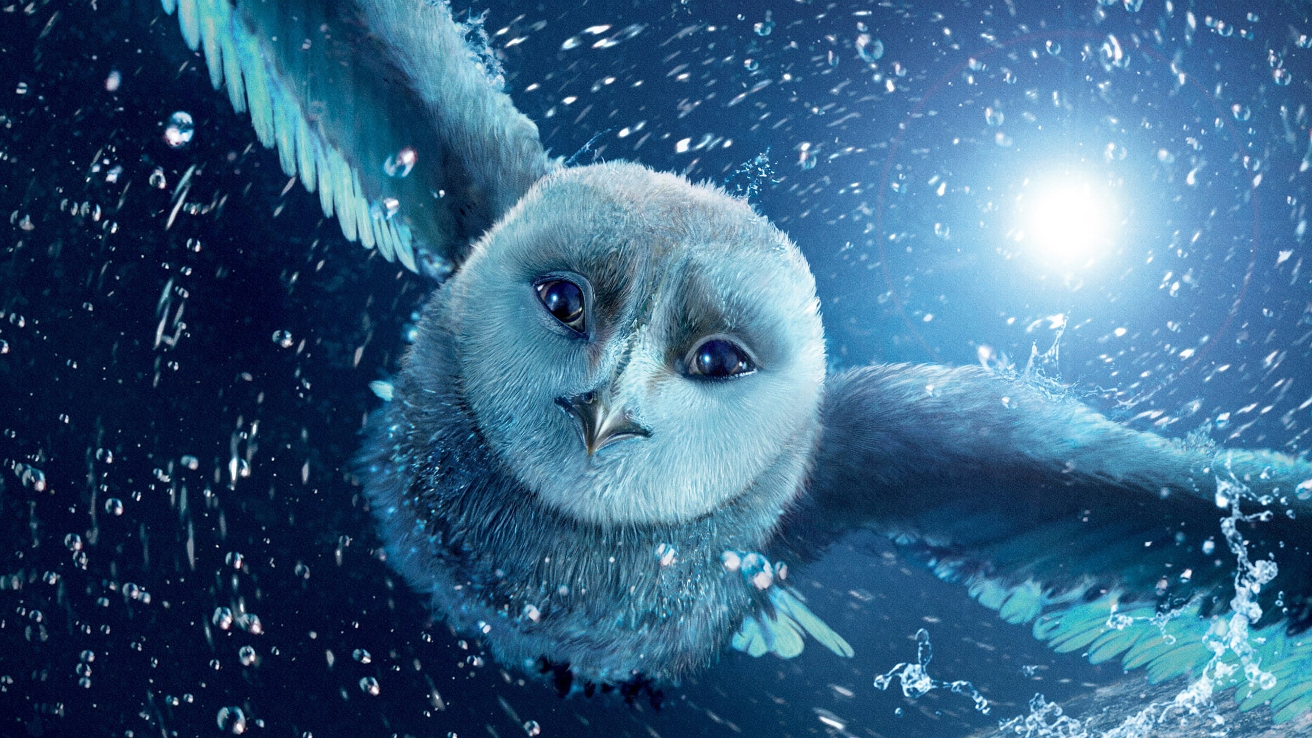 Legend of the Guardians: The Owls of Ga'Hoole, Striking backdrops, Epic adventure, Majestic owls, 2560x1440 HD Desktop