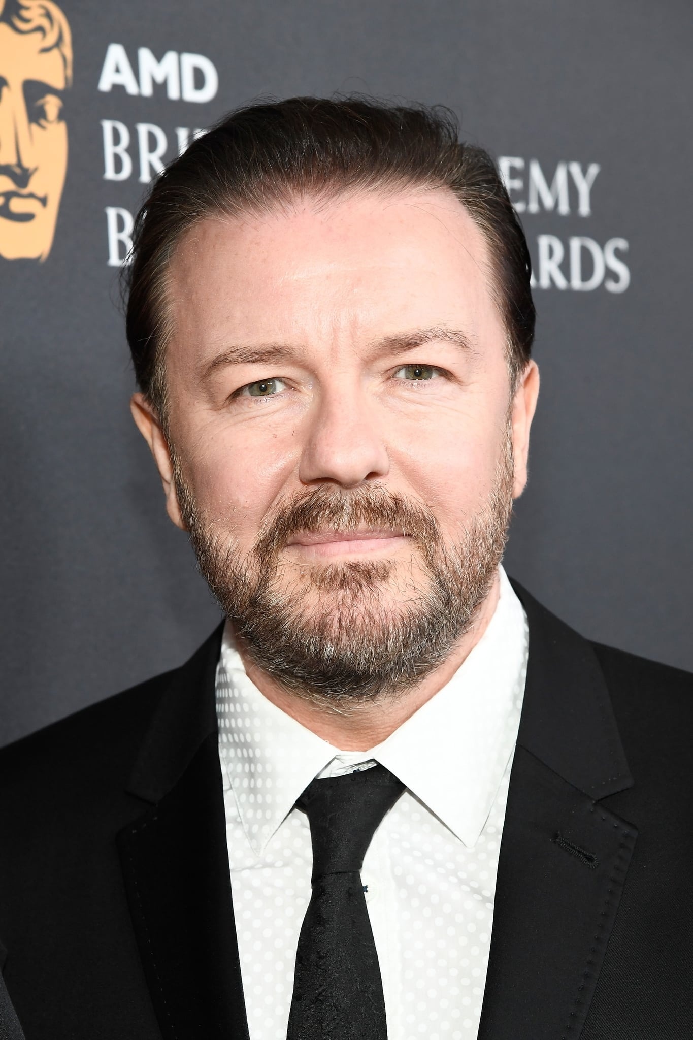 Ricky Gervais, Profile images, Movie Database, Actor's archive, 1370x2050 HD Phone