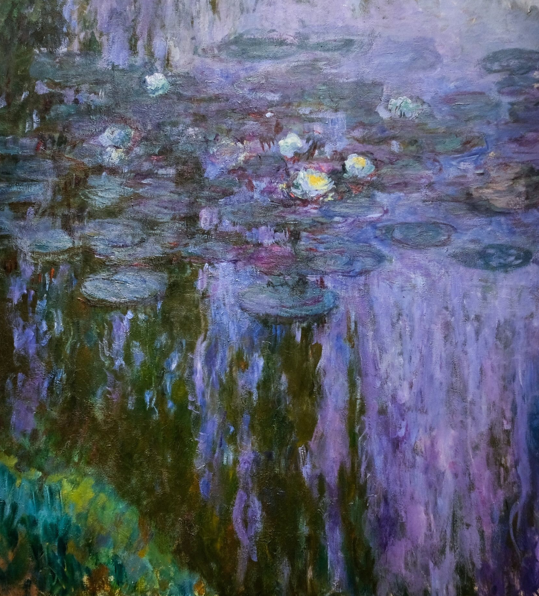 Claude Monet Water Lilies, blooming white water lilies, purple pond reflections, HD Phone wallpaper