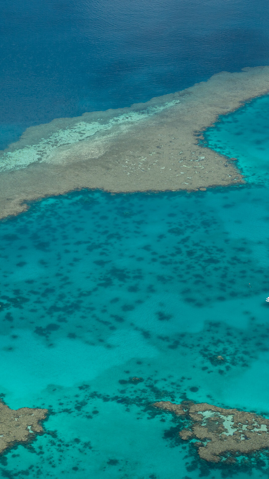 Floatplane on Great Barrier Reef, Airlie Beach beauty, Windows 10 spotlight images, Spectacular aerial view, 1080x1920 Full HD Phone