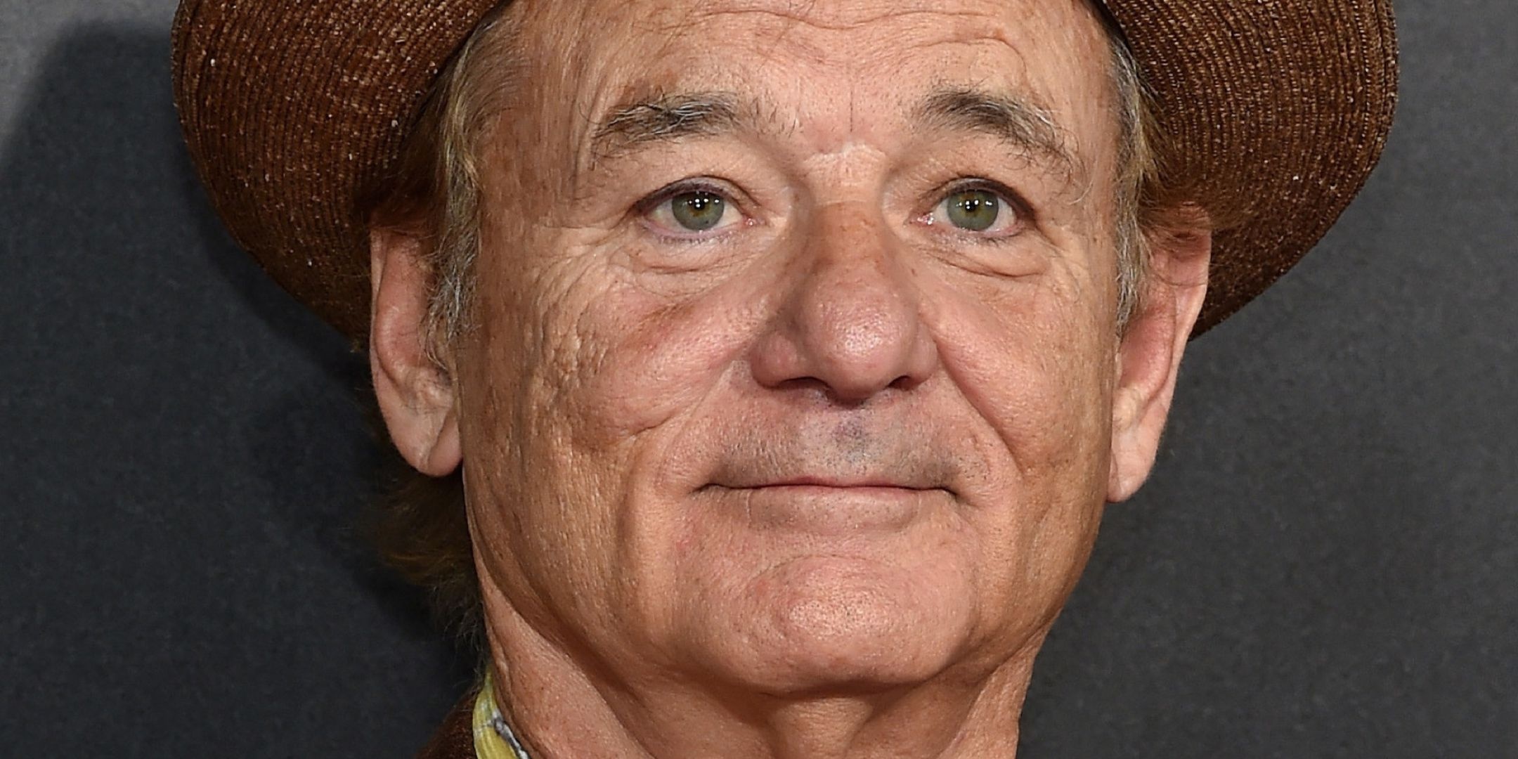 Bill Murray, Movies, Wallpapers, Backgrounds, 2160x1080 Dual Screen Desktop