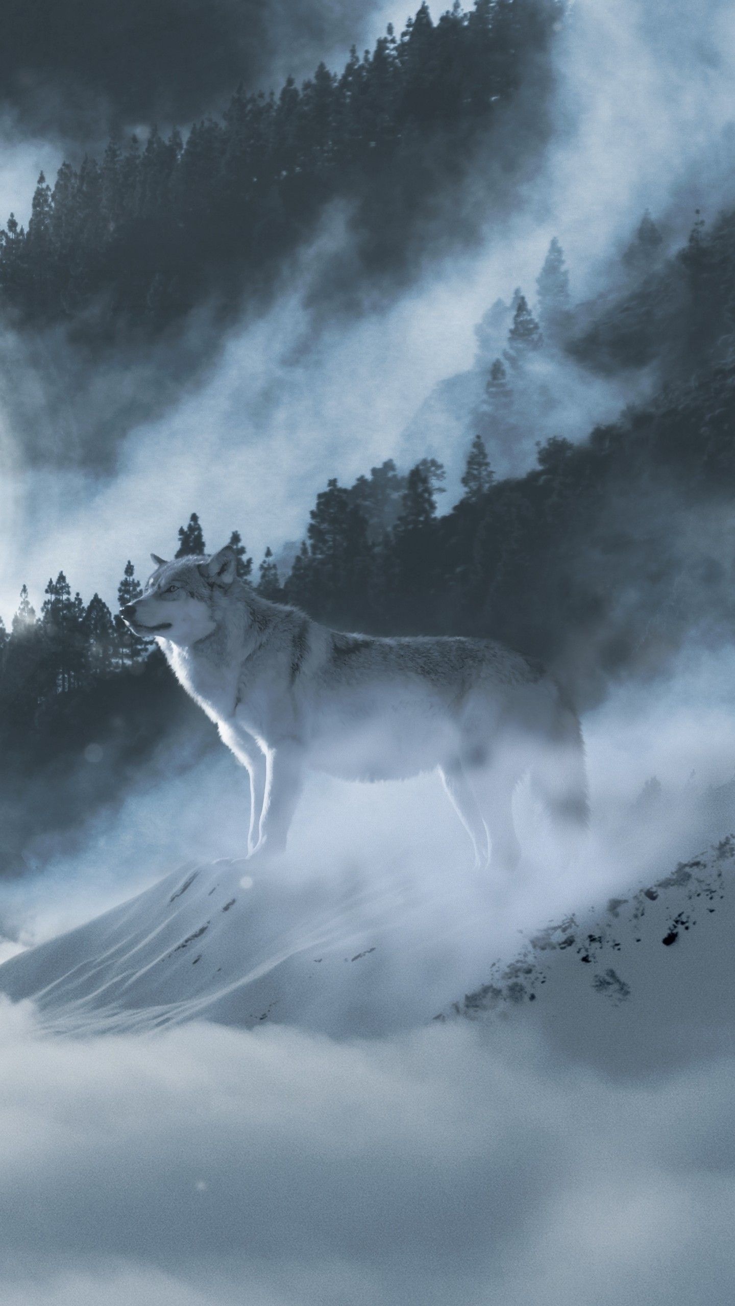 Arctic Wolf, White wolf laptop wallpapers, Snowy landscapes, Arctic serenity, 1440x2560 HD Phone