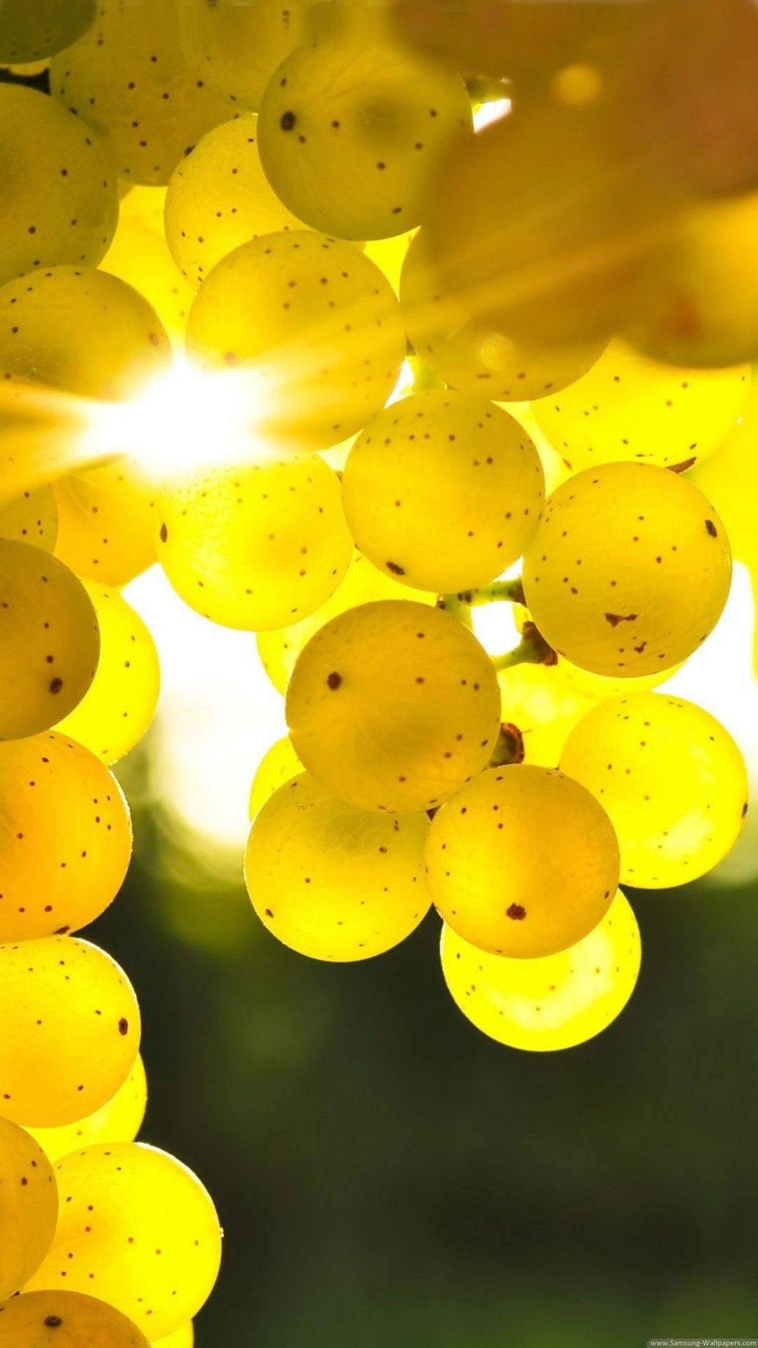 Mobile wallpapers, Stunning HD, Sony and LG compatible, Shades of yellow grapes, 1080x1920 Full HD Phone