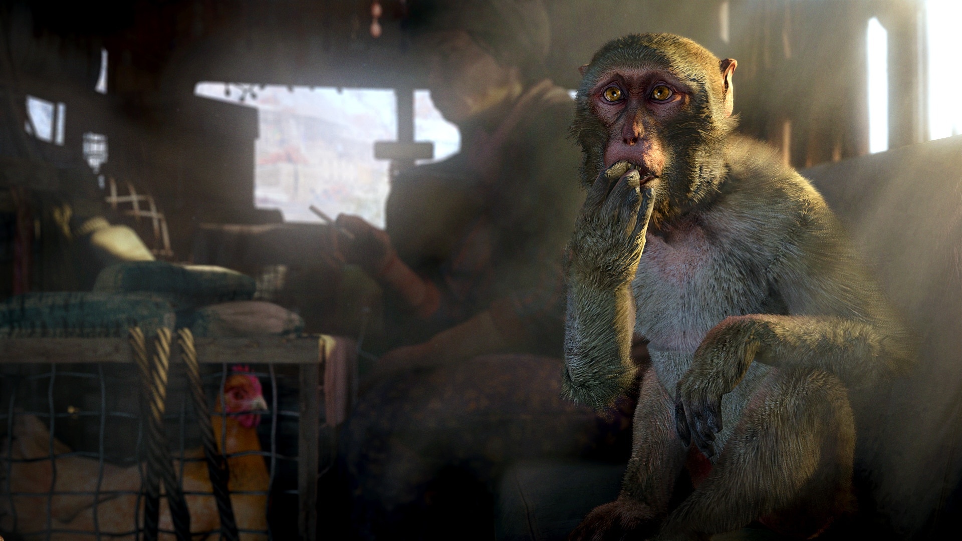 Far Cry 4 macaque, Kyrat bus interior, Caged chicken, Full HD Desktop wallpaper