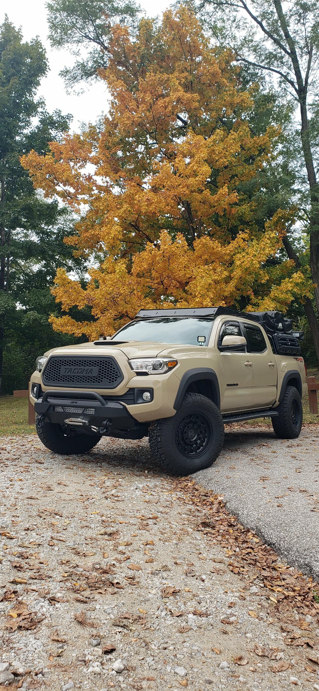 Toyota Tacoma, Best iPhone wallpapers, Trucks, 1290x2780 HD Phone