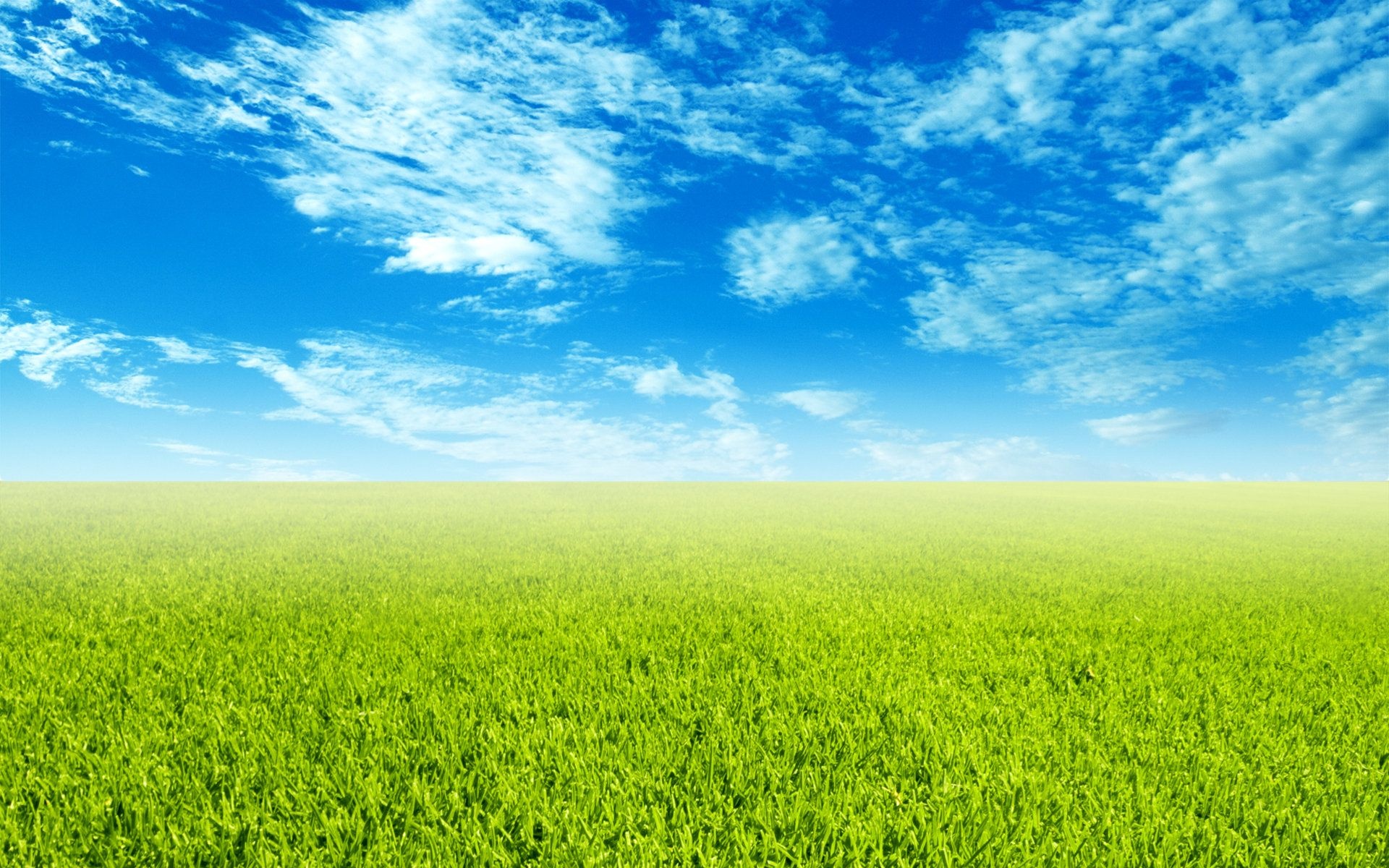 Grass and sky background, Natural scenery, Serene landscapes, Ryan Anderson, 1920x1200 HD Desktop