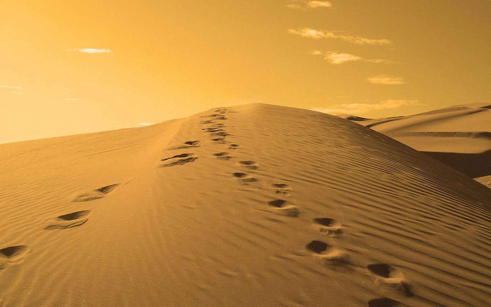 Footprints wallpapers, 1920x1200 HD Desktop