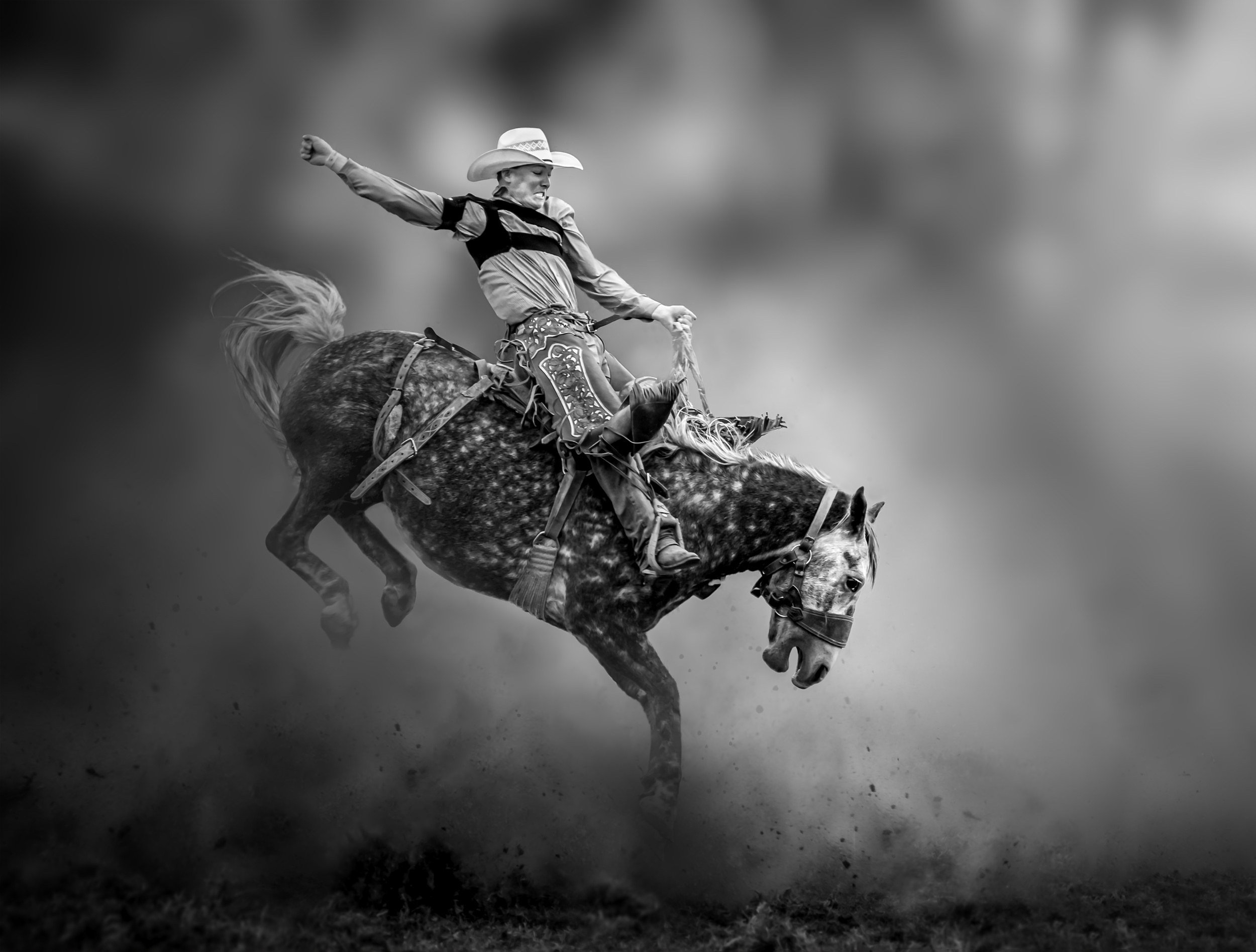 Rodeo, Irene Yu Wu, 2500x1900 HD Desktop