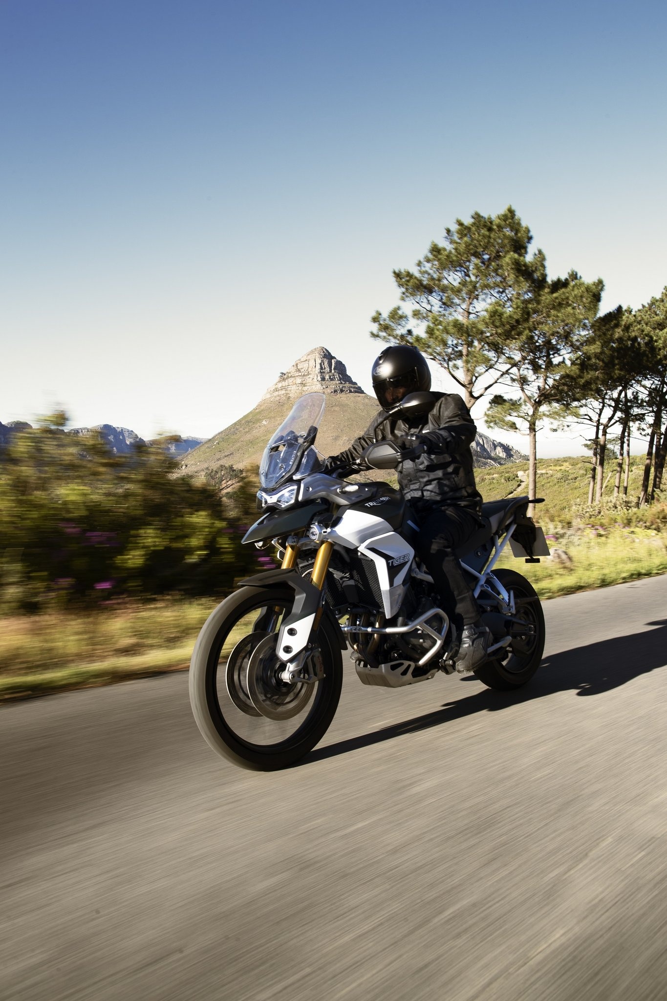 Triumph Tiger 900, Impressive photo gallery, Visual showcase of the bike, 1370x2050 HD Phone