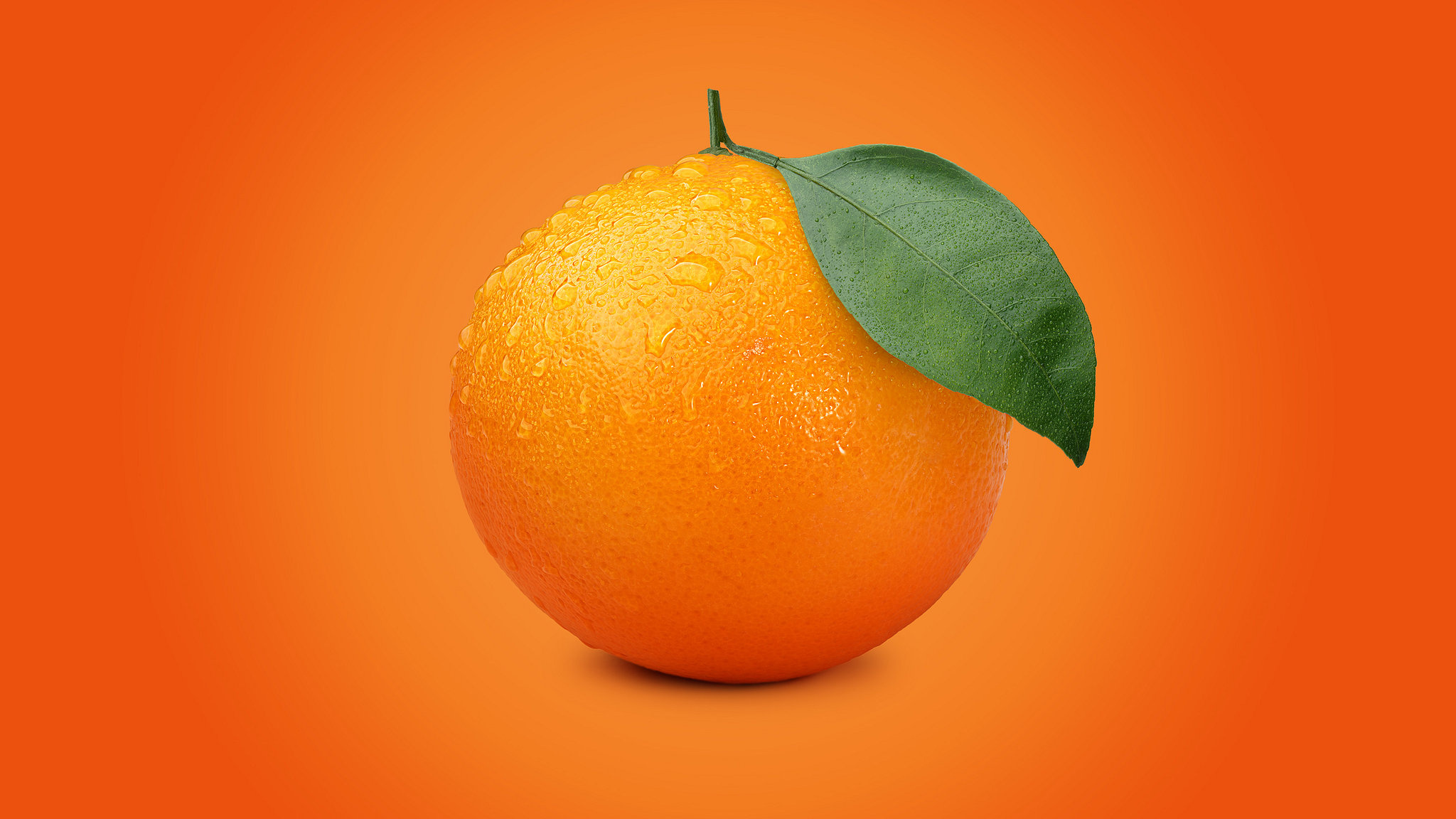 Brand new logo, Orangefarbene logos, Logo design, Vibrant orange, 2050x1160 HD Desktop