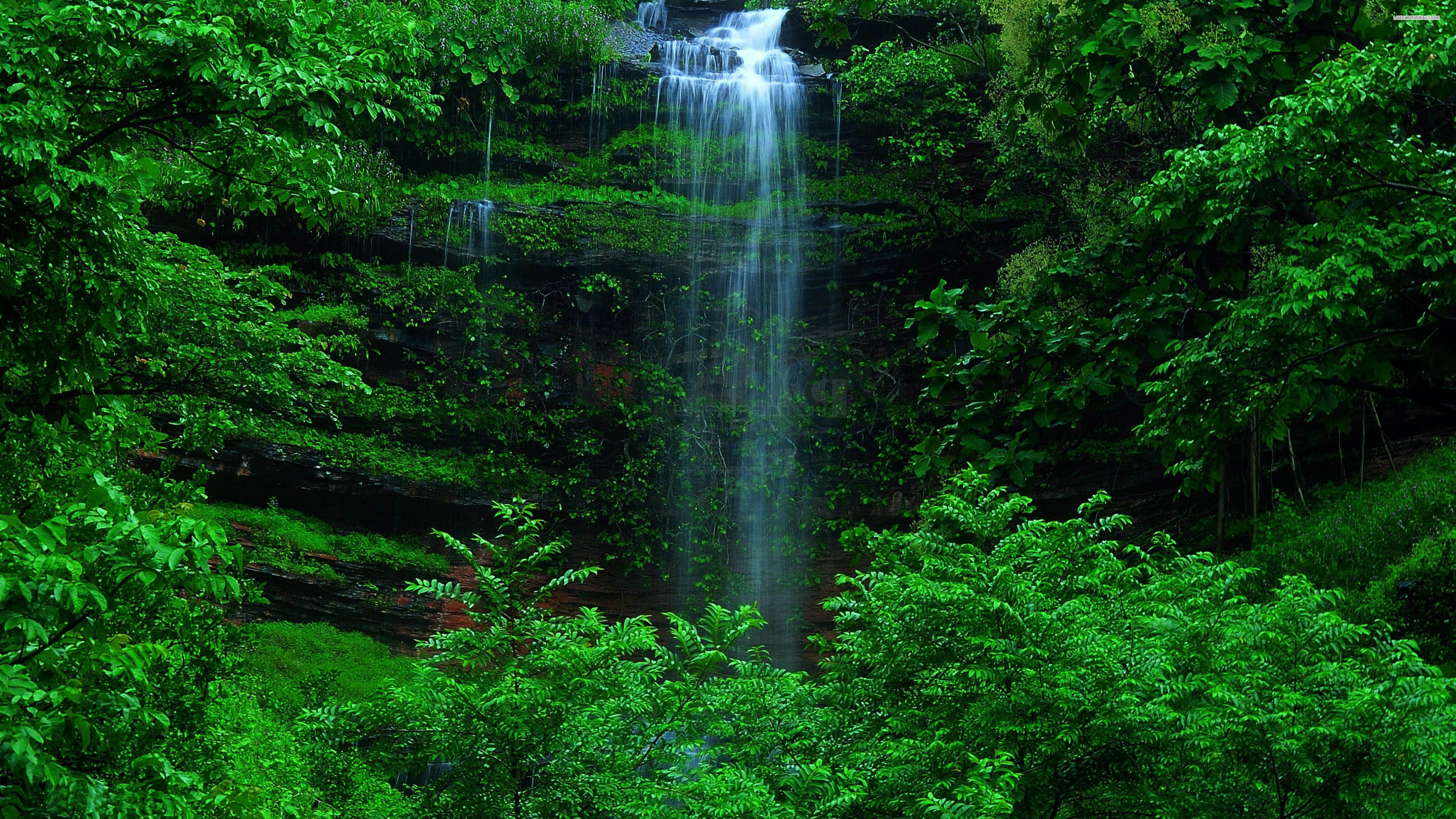 Plitvice Lakes, Green Forests Wallpaper, 3840x2160 4K Desktop