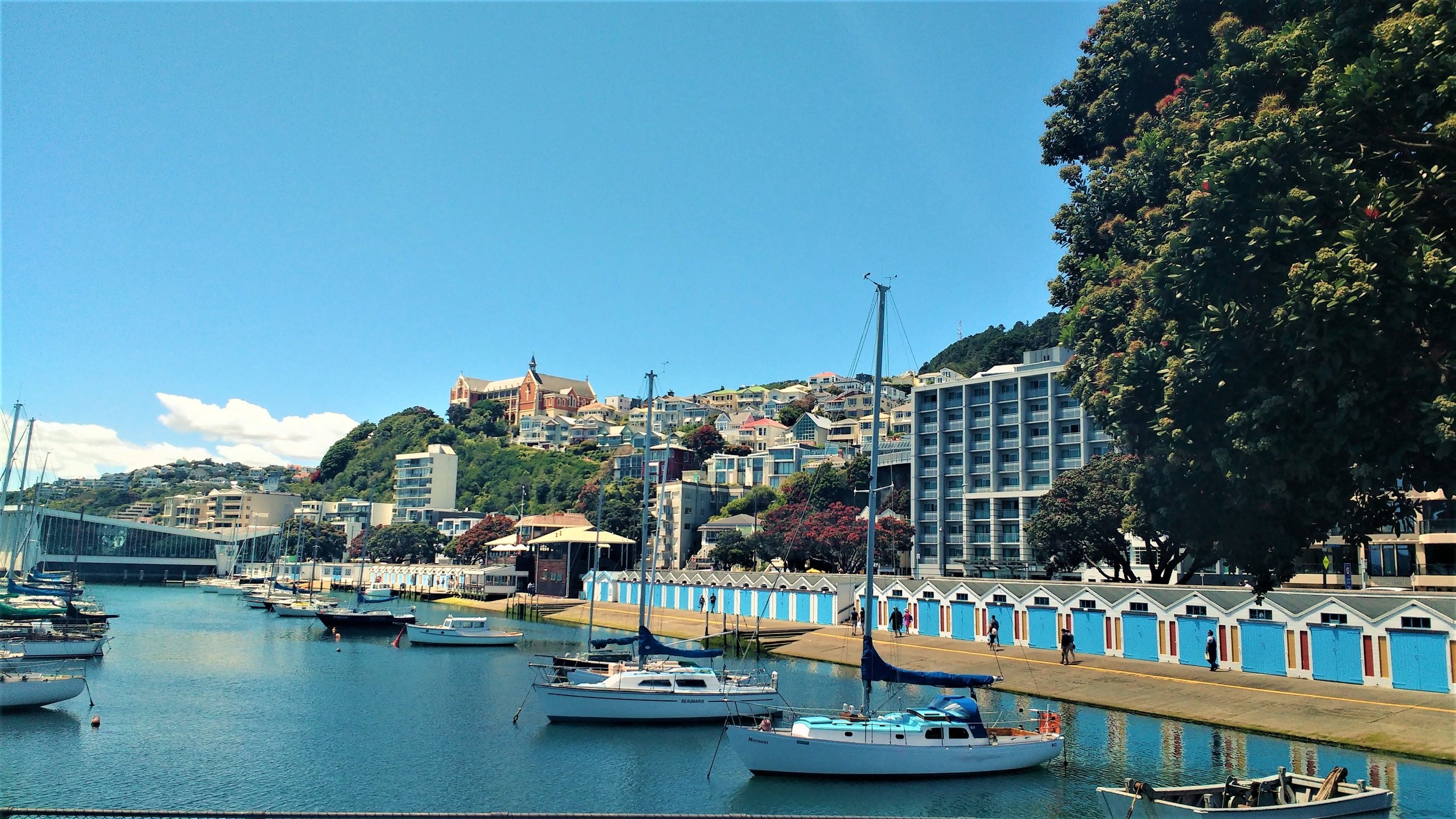 Wellington, New Zealand, Free Things, Bookpacker, 2500x1410 HD Desktop