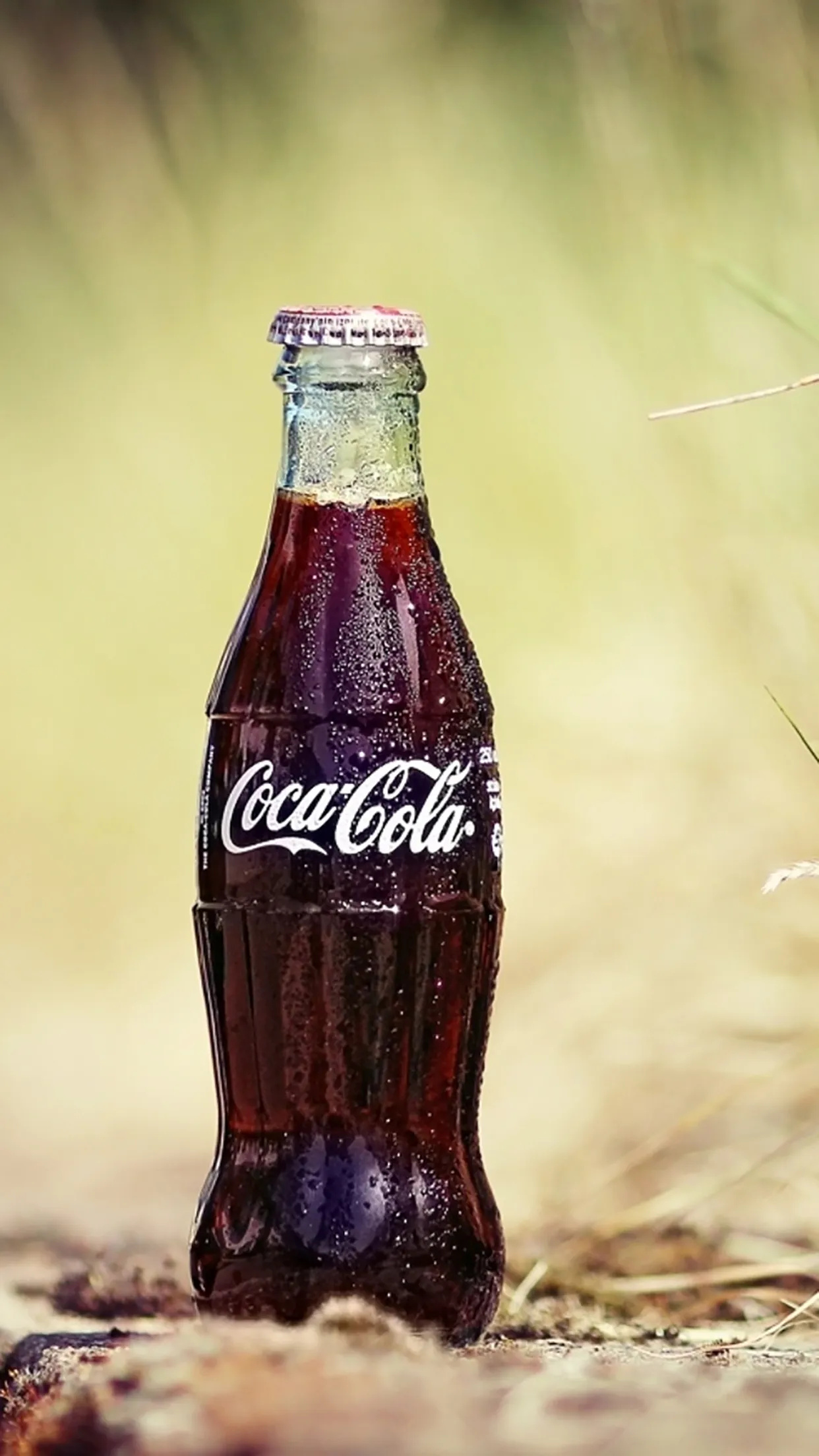 Coca-Cola, Iconic bottle design, High-quality imagery, Phone wallpaper, 1250x2210 HD Phone