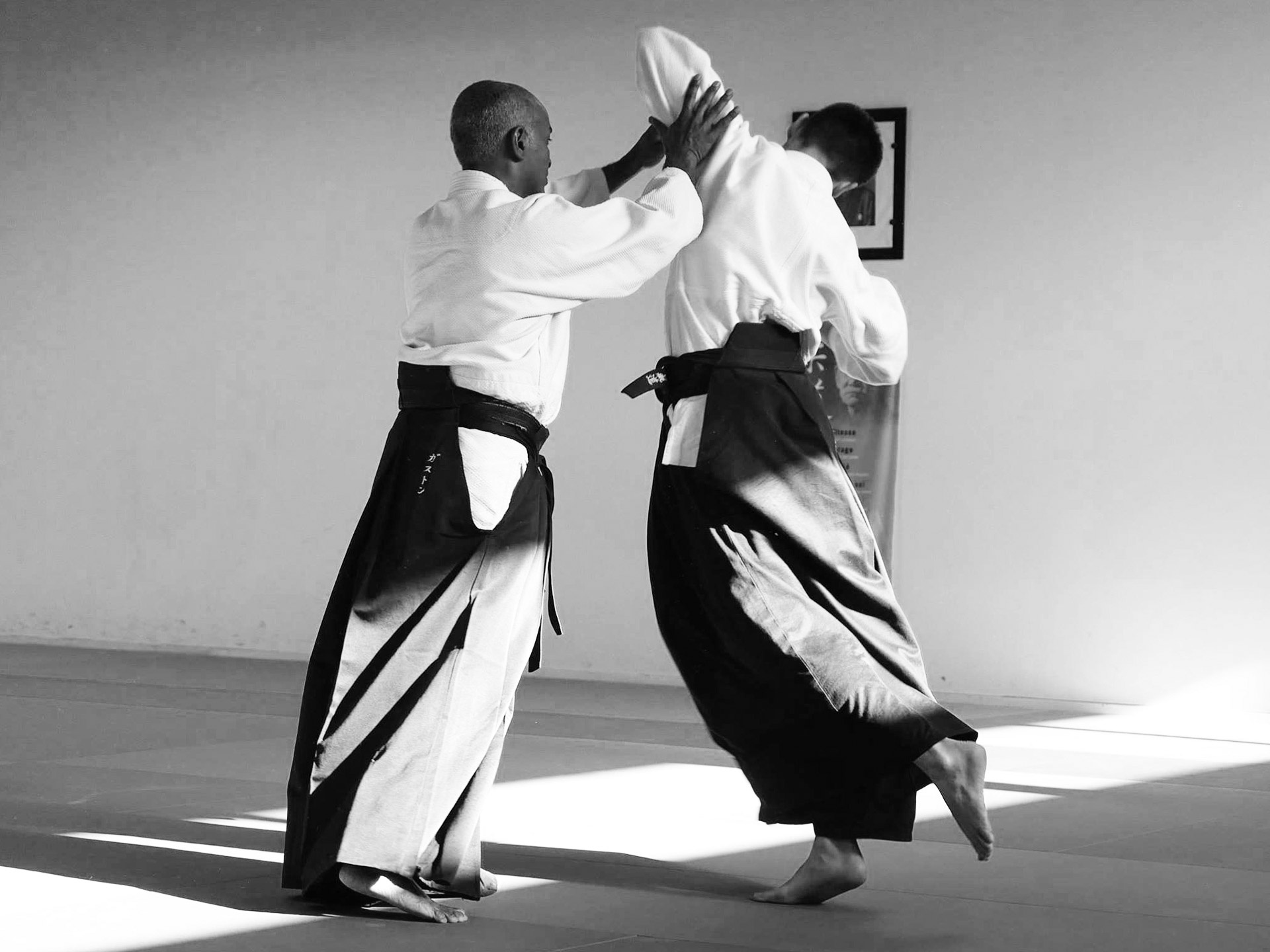 Aikido wallpaper, Michelle Walker, 1920x1440 HD Desktop