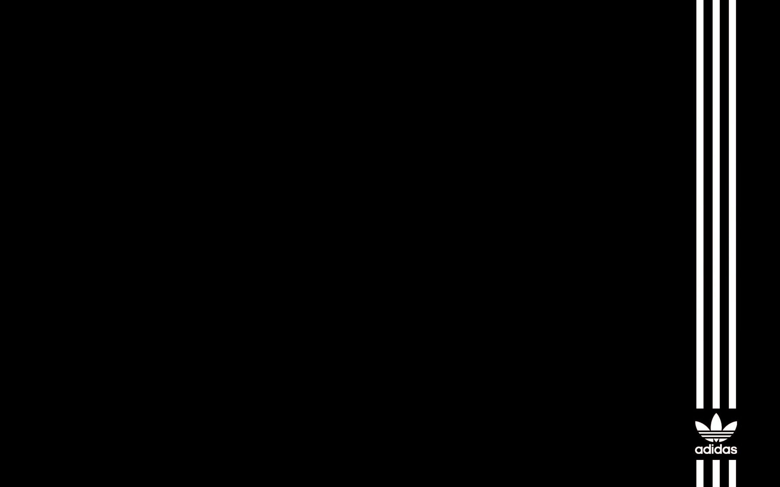 Adidas logo, 4K resolution, Micro design, Graphic elements, 2560x1600 HD Desktop