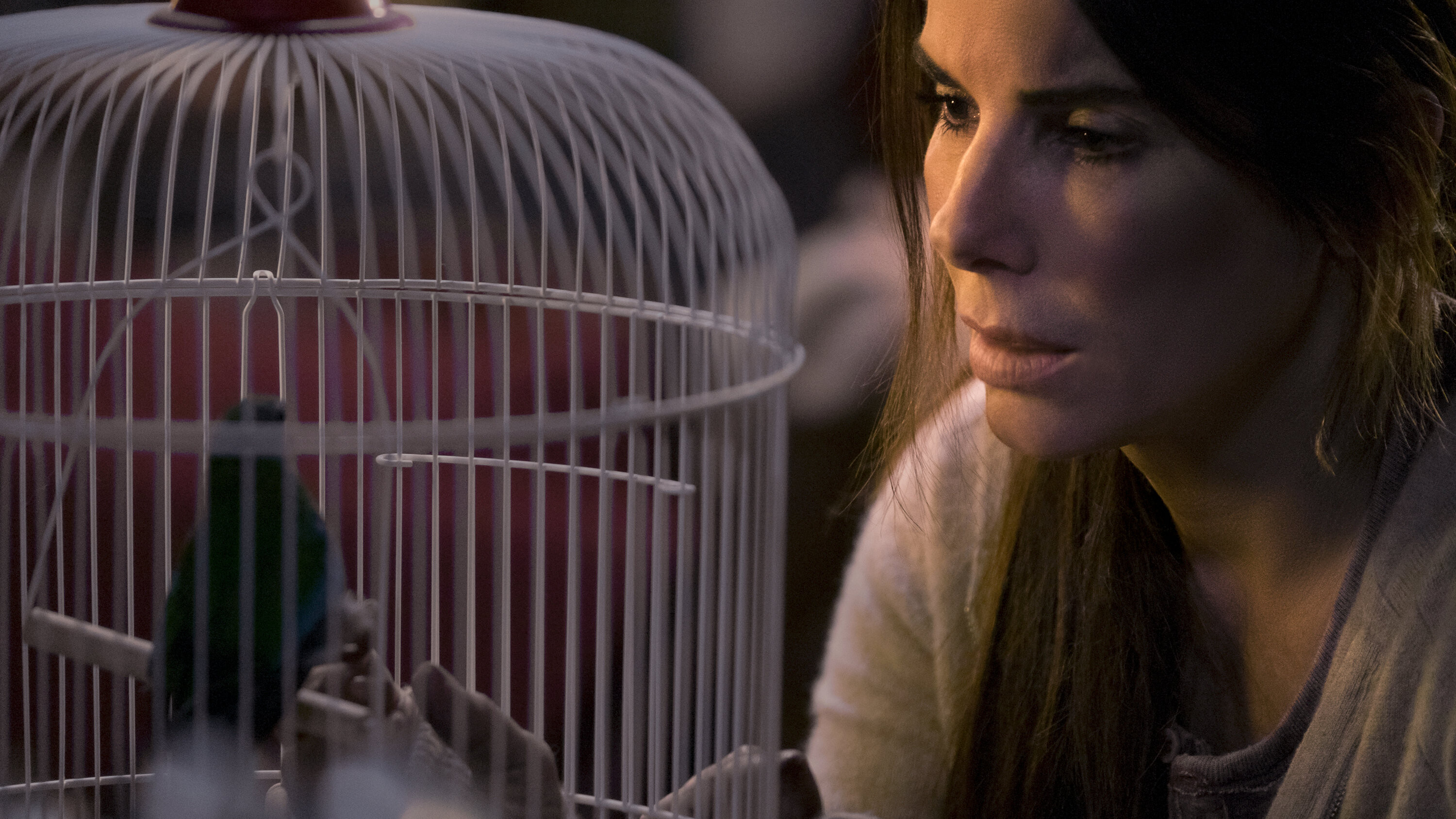 Bird Box, Plot analysis, Thought-provoking questions, Deep narrative, 3000x1690 HD Desktop