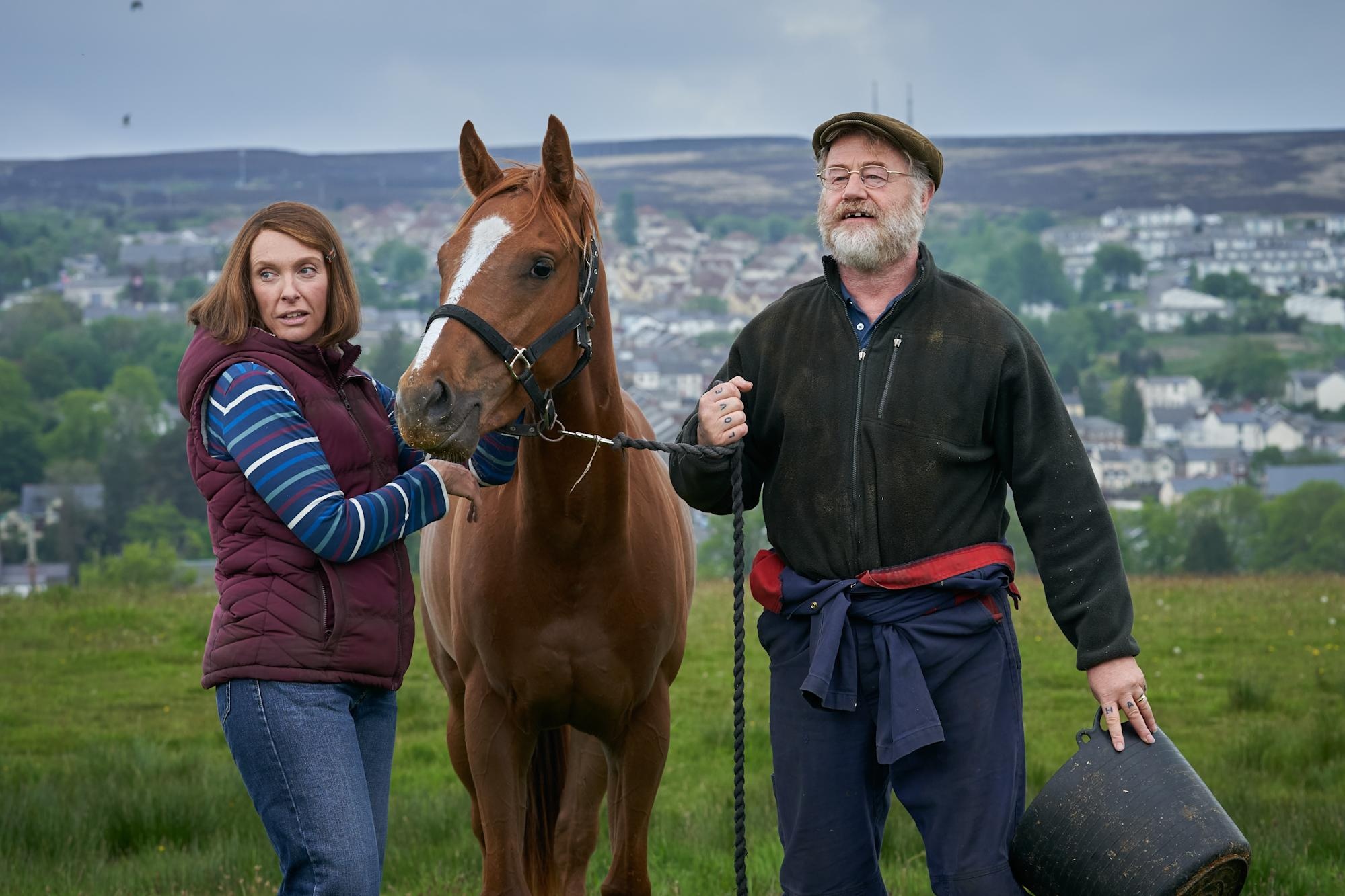 Dream Horse Movie, Irish Film Institute, Wild strawberries, 2000x1340 HD Desktop