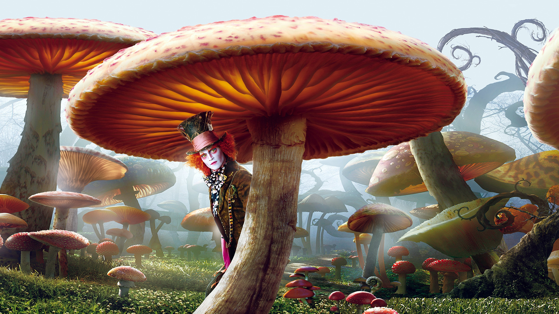 Mad Hatter, HD Wallpaper, Background, Image, 1920x1080 Full HD Desktop