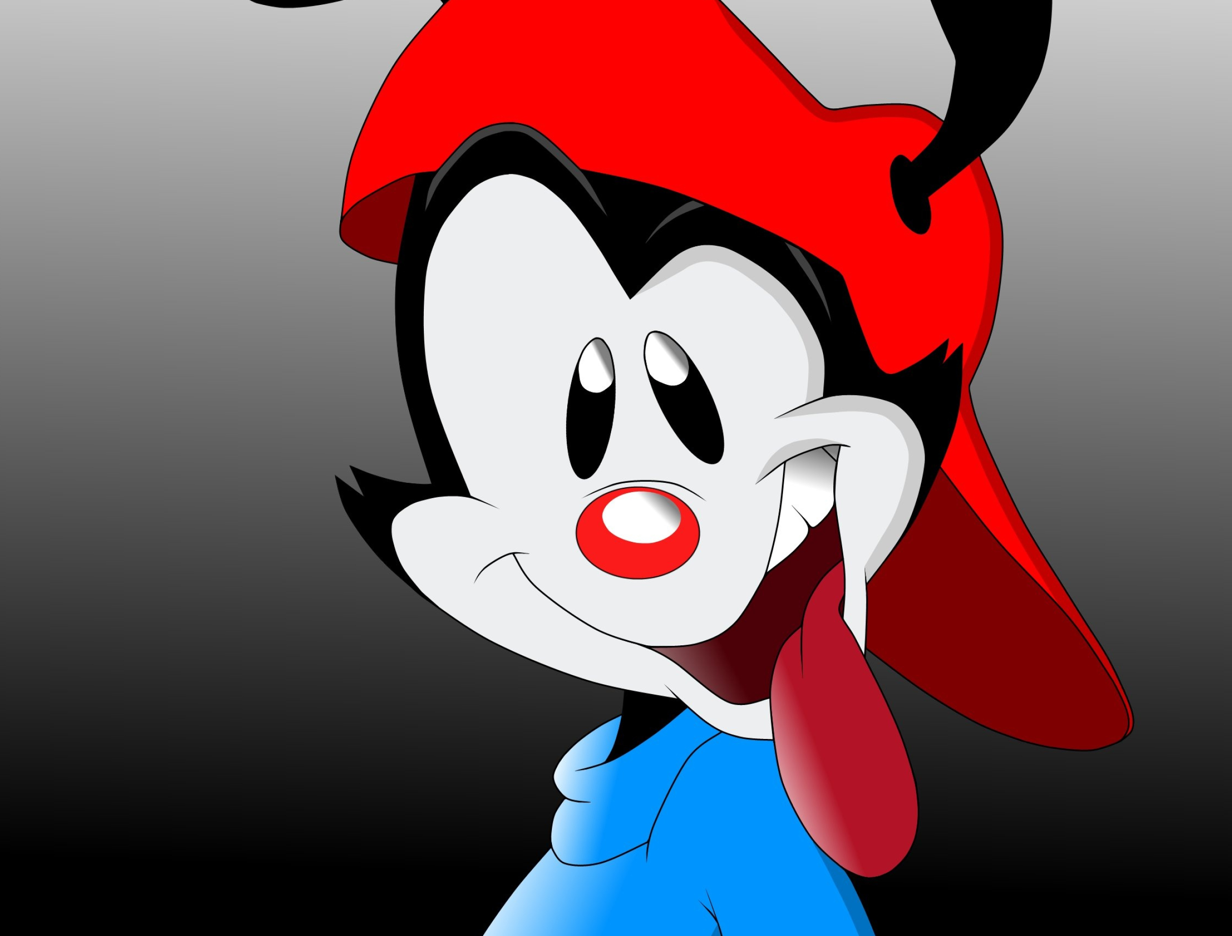 Animaniacs, Family animation, Comedy cartoon, 2500x1900 HD Desktop