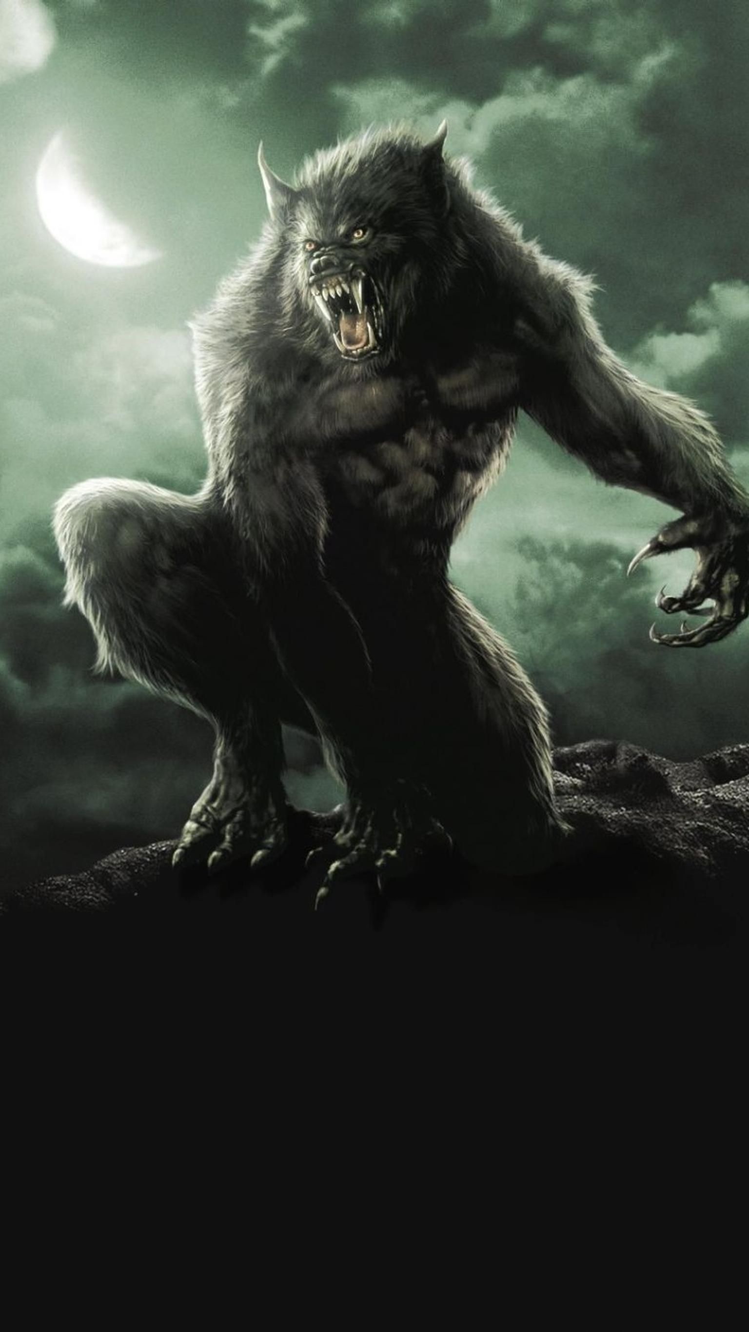 Van Helsing, Werewolf Wallpaper, 1540x2740 HD Phone