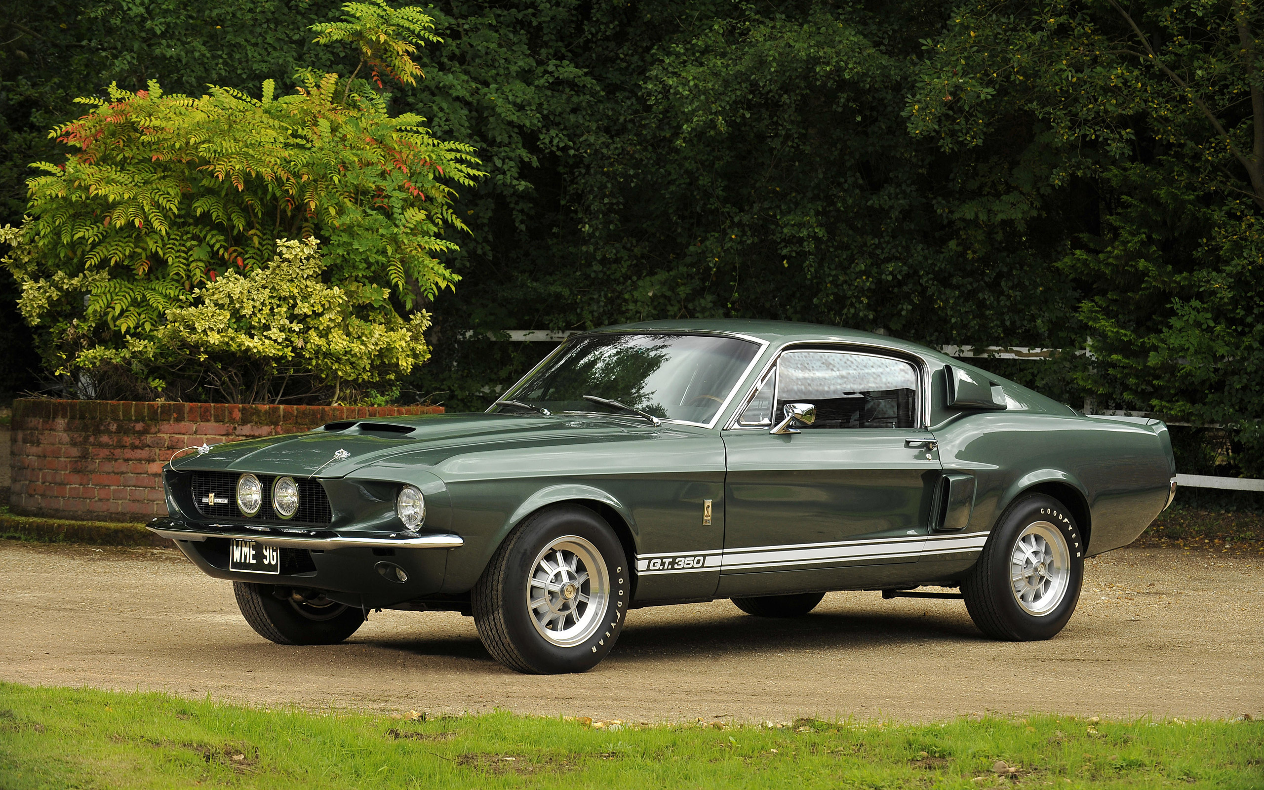 1967 Shelby GT350, Dark Moss Green paint, Gravel driveway with trees, HD Desktop wallpaper