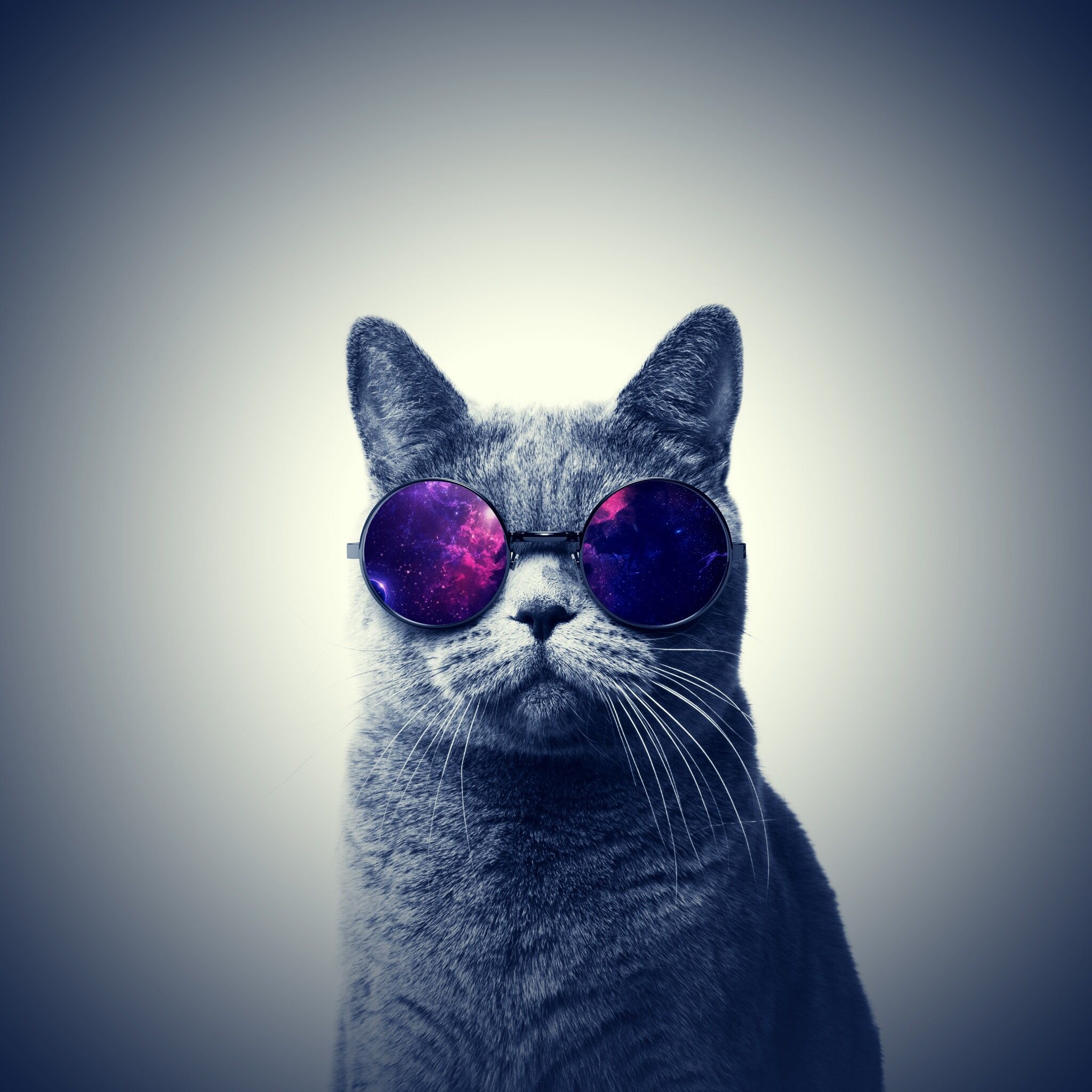 Galaxy Cat, Techno vibes, Hipster style, Artistic wallpapers, 2050x2050 HD Phone