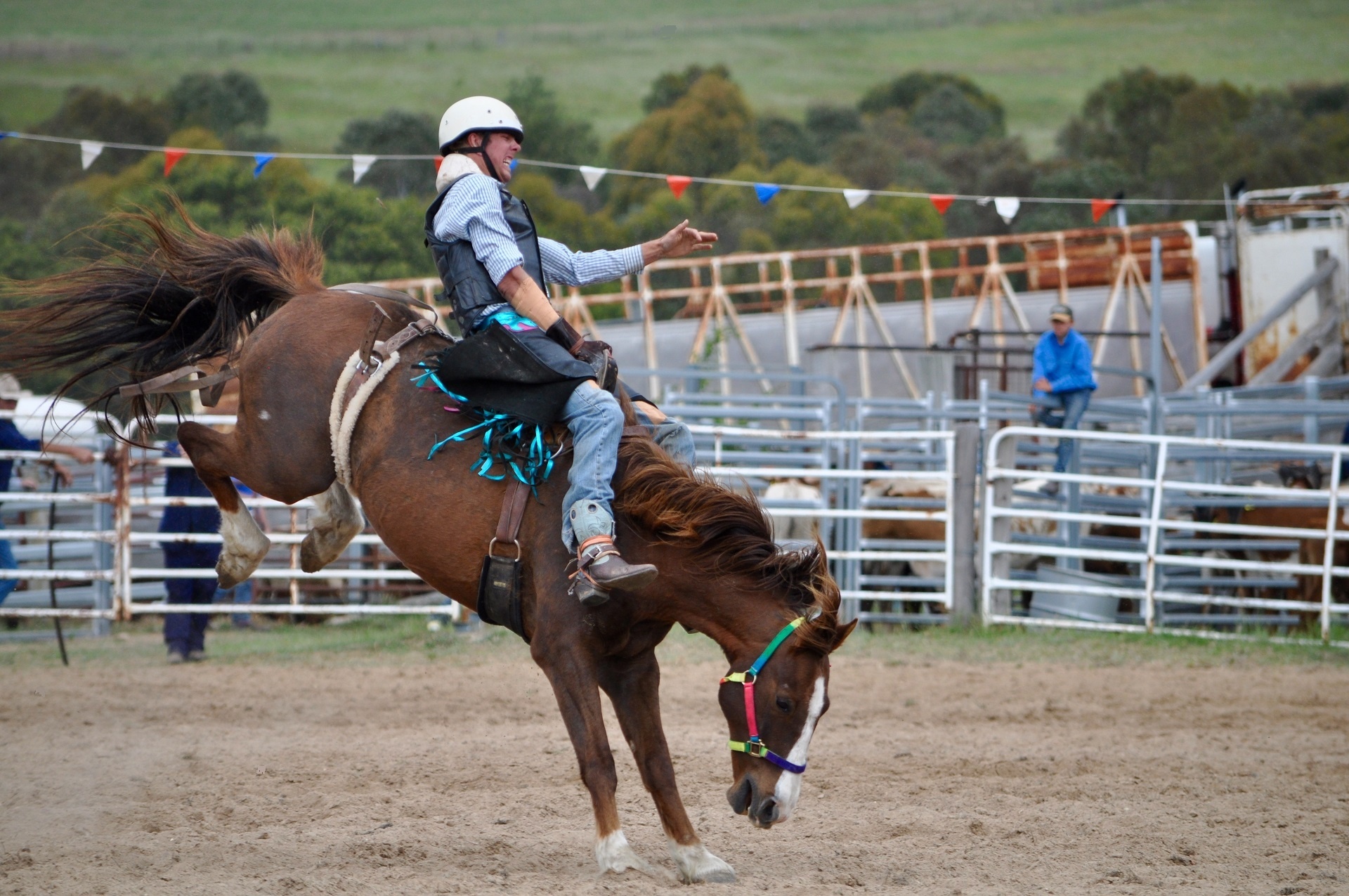 Cowboy, Horse, Rodeo sport, Wallpaper, 1920x1280 HD Desktop