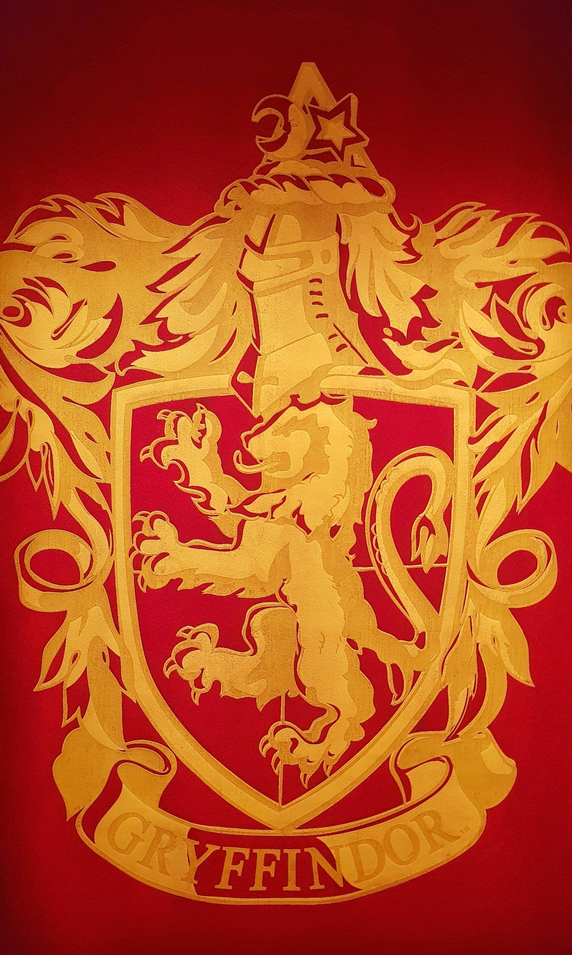 Free Gryffindor wallpaper, Phone options, Wide range, Artofit collection, 1920x3210 HD Phone