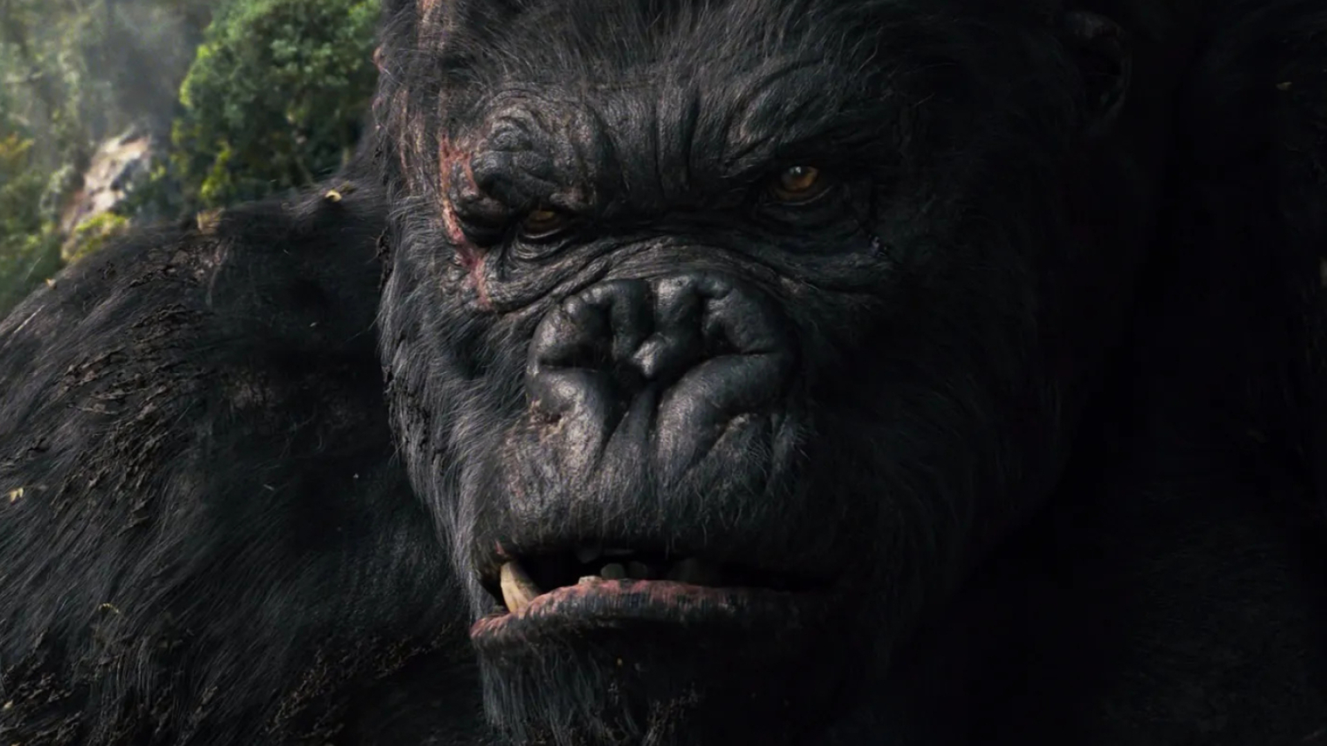 King Kong 2005, Remake masterpiece, 4K UHD, Spectacular, 1920x1080 Full HD Desktop