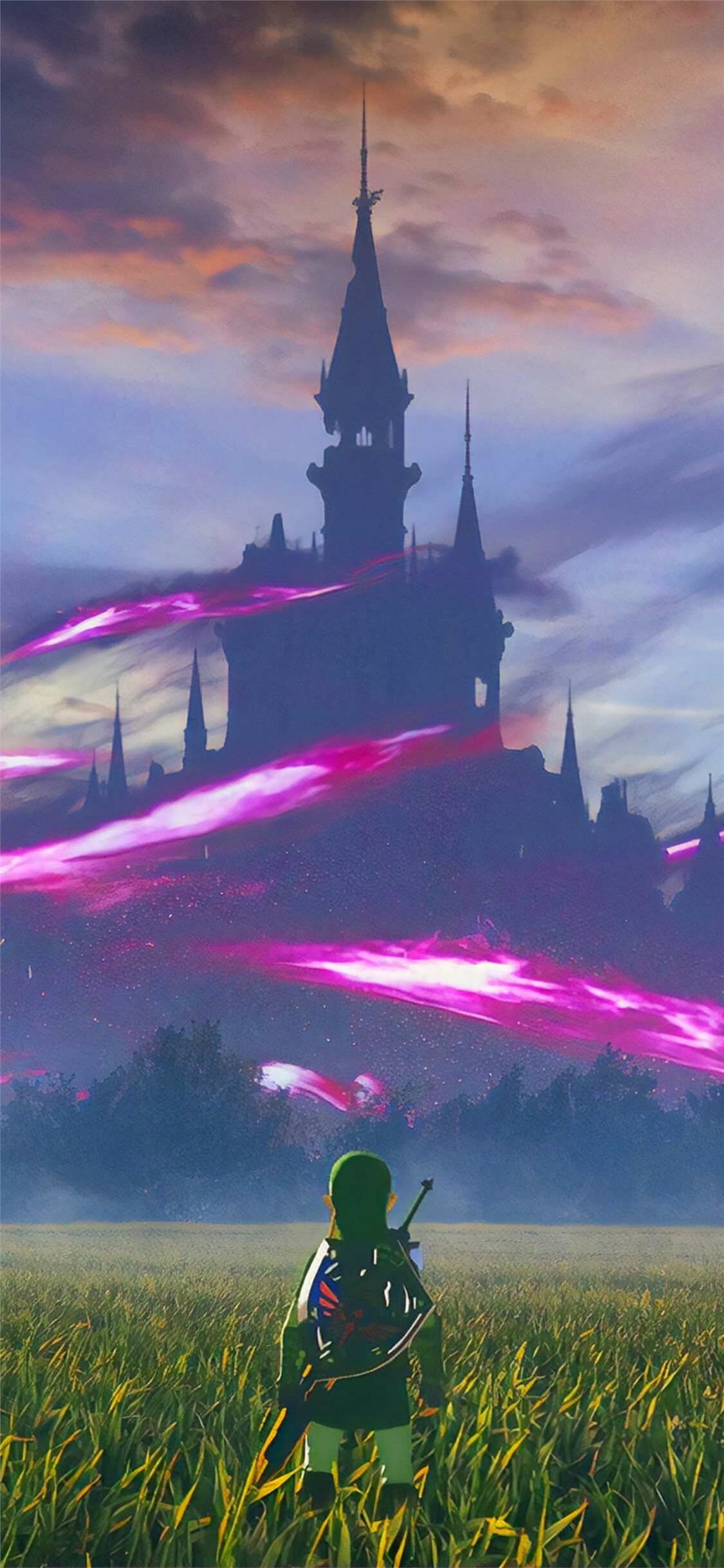 Legend of Zelda, Gaming adventure, Magical kingdom, Epic quests, 1130x2440 HD Phone