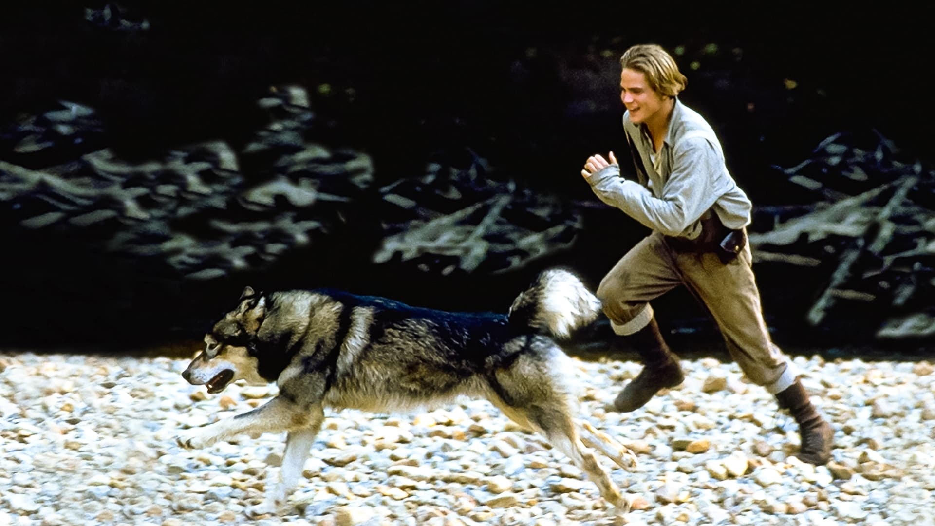 White Fang (Movie), White Fang 2, Myth of the White Wolf, 1994, 1920x1080 Full HD Desktop